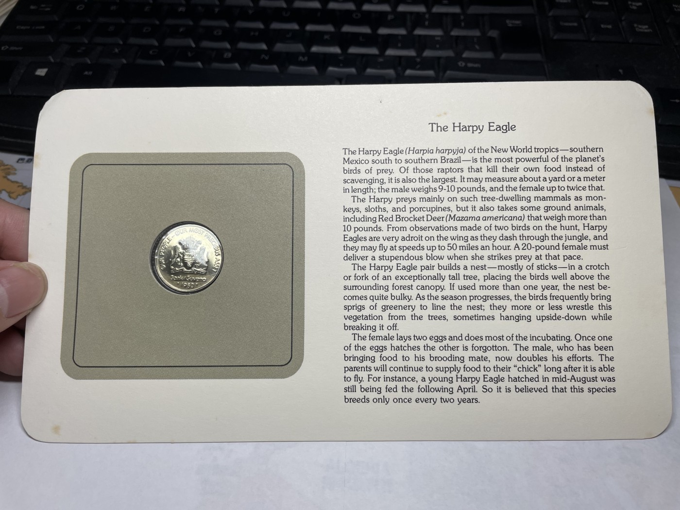 2024年集古藏今外币拍卖第三期-第1场—硬币上的鸟类专场（总第21拍） 1980年圭亚那25分—美洲角雕