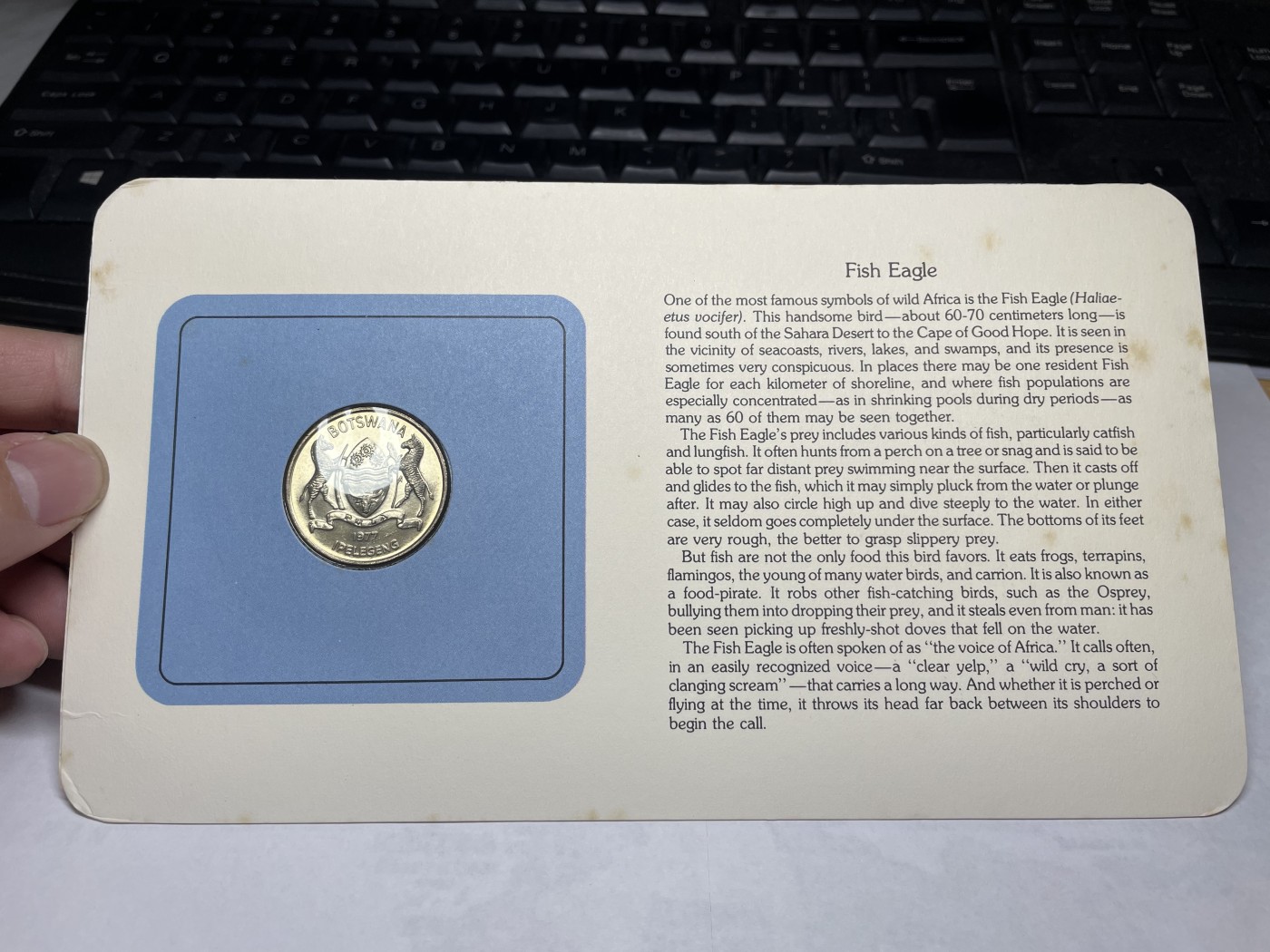 2024年集古藏今外币拍卖第三期-第1场—硬币上的鸟类专场（总第21拍） 1977年博茨瓦纳50分—鱼雕