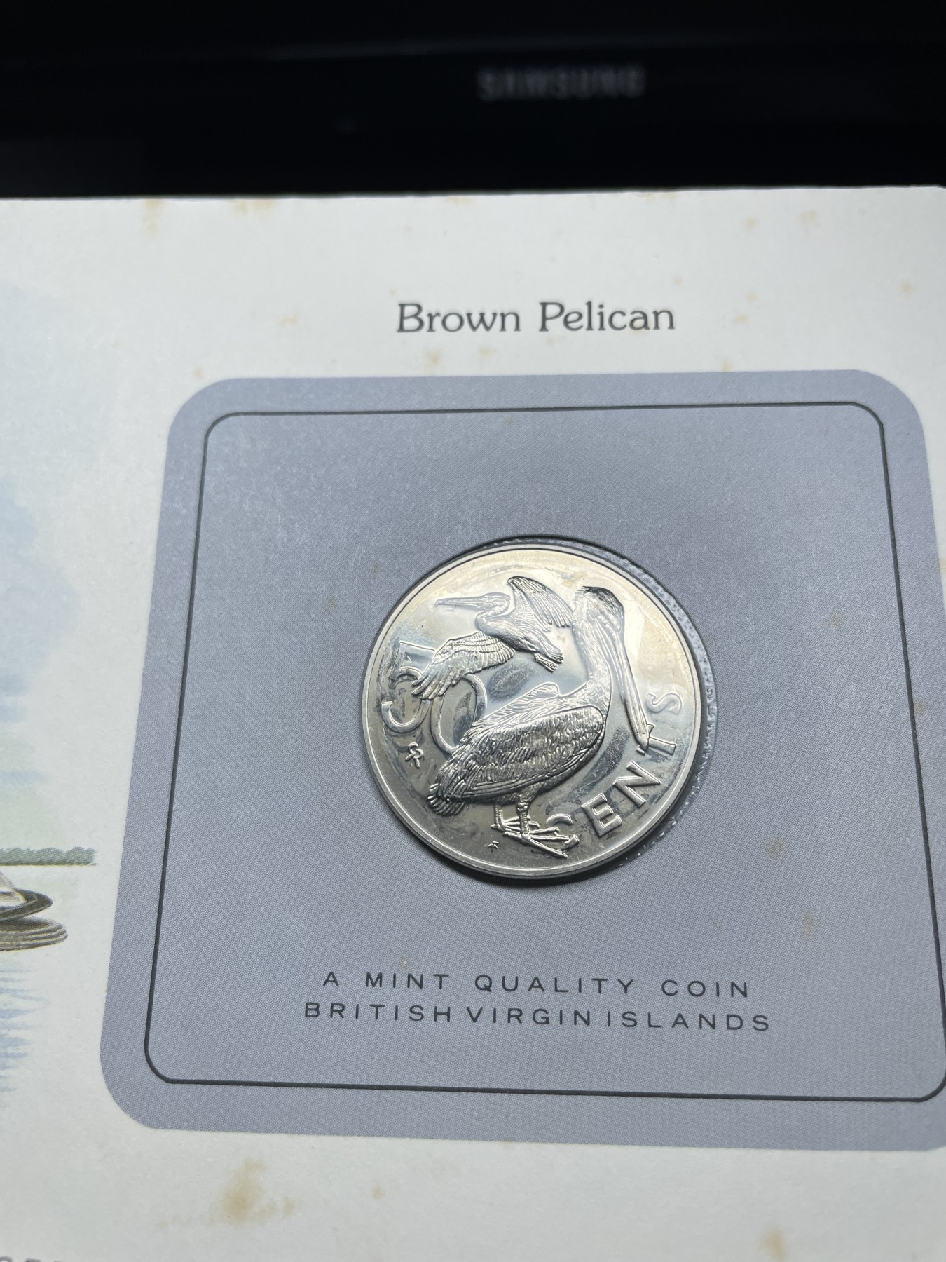 2024年集古藏今外币拍卖第三期-第1场—硬币上的鸟类专场（总第21拍） 1980年英属维尔京50分—褐鹈鹕