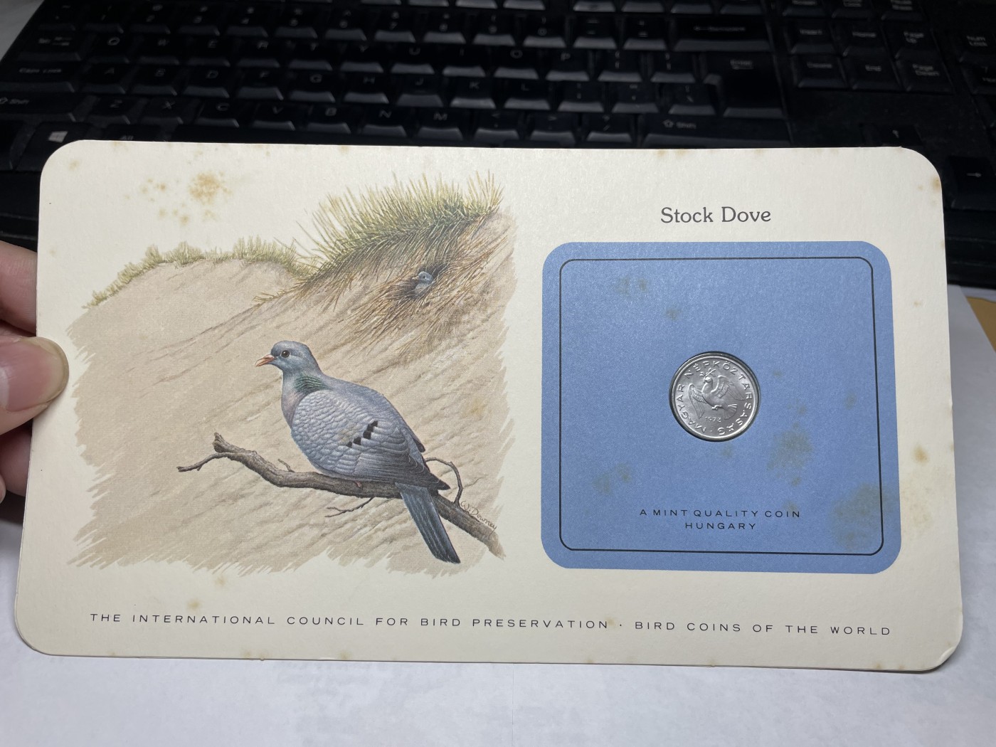 2024年集古藏今外币拍卖第三期-第1场—硬币上的鸟类专场（总第21拍） 1973年匈牙利10菲勒—欧洲野鸽