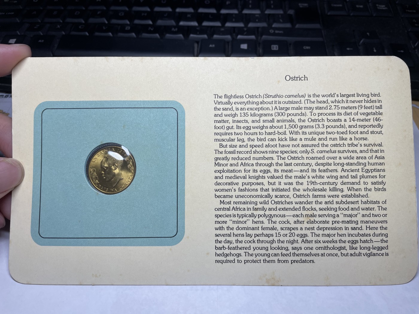 2024年集古藏今外币拍卖第三期-第1场—硬币上的鸟类专场（总第21拍） 1979年坦桑尼亚20分—鸵鸟