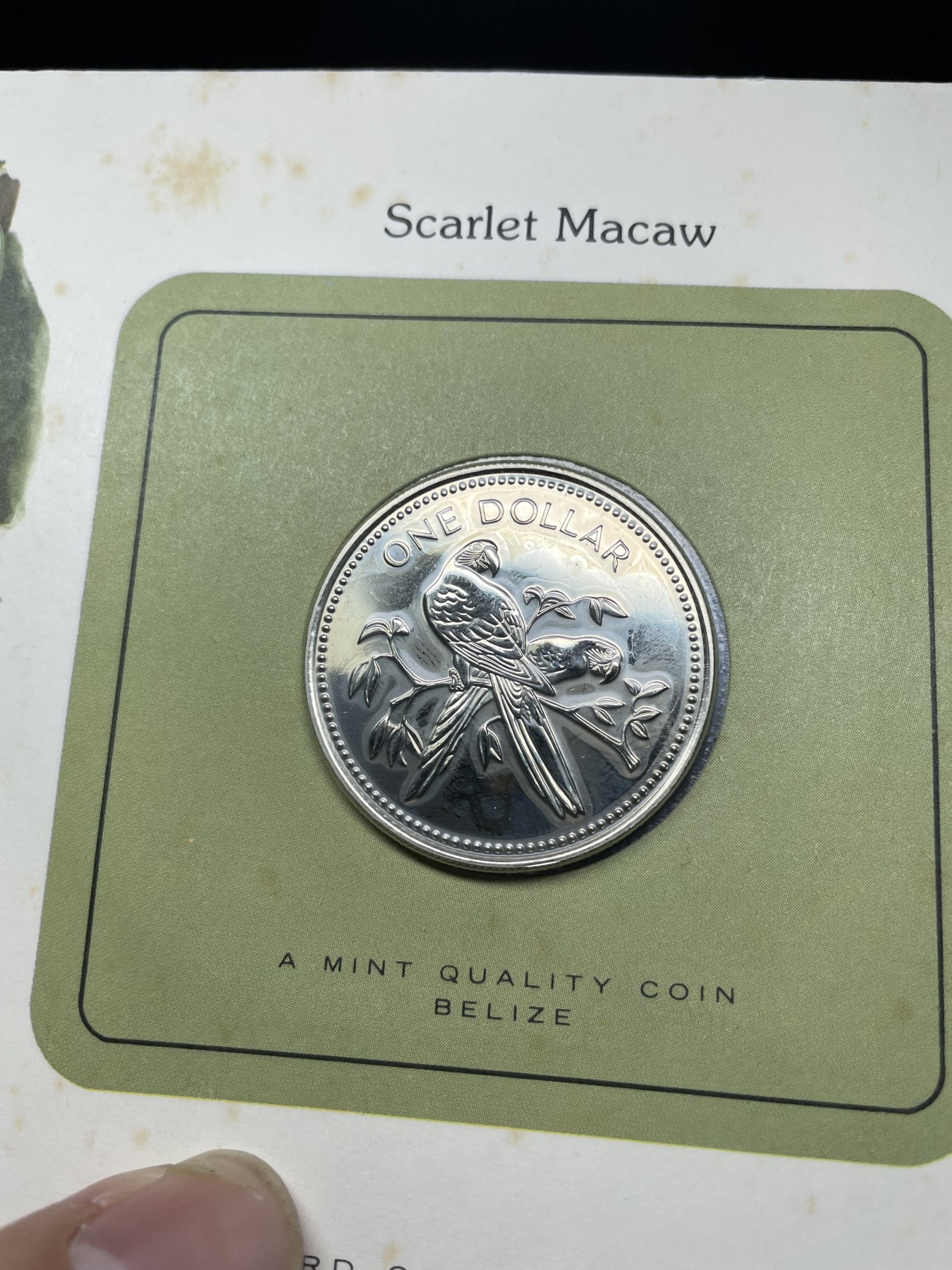 2024年集古藏今外币拍卖第三期-第1场—硬币上的鸟类专场（总第21拍） 1980年伯利兹1元—金刚鹦鹉