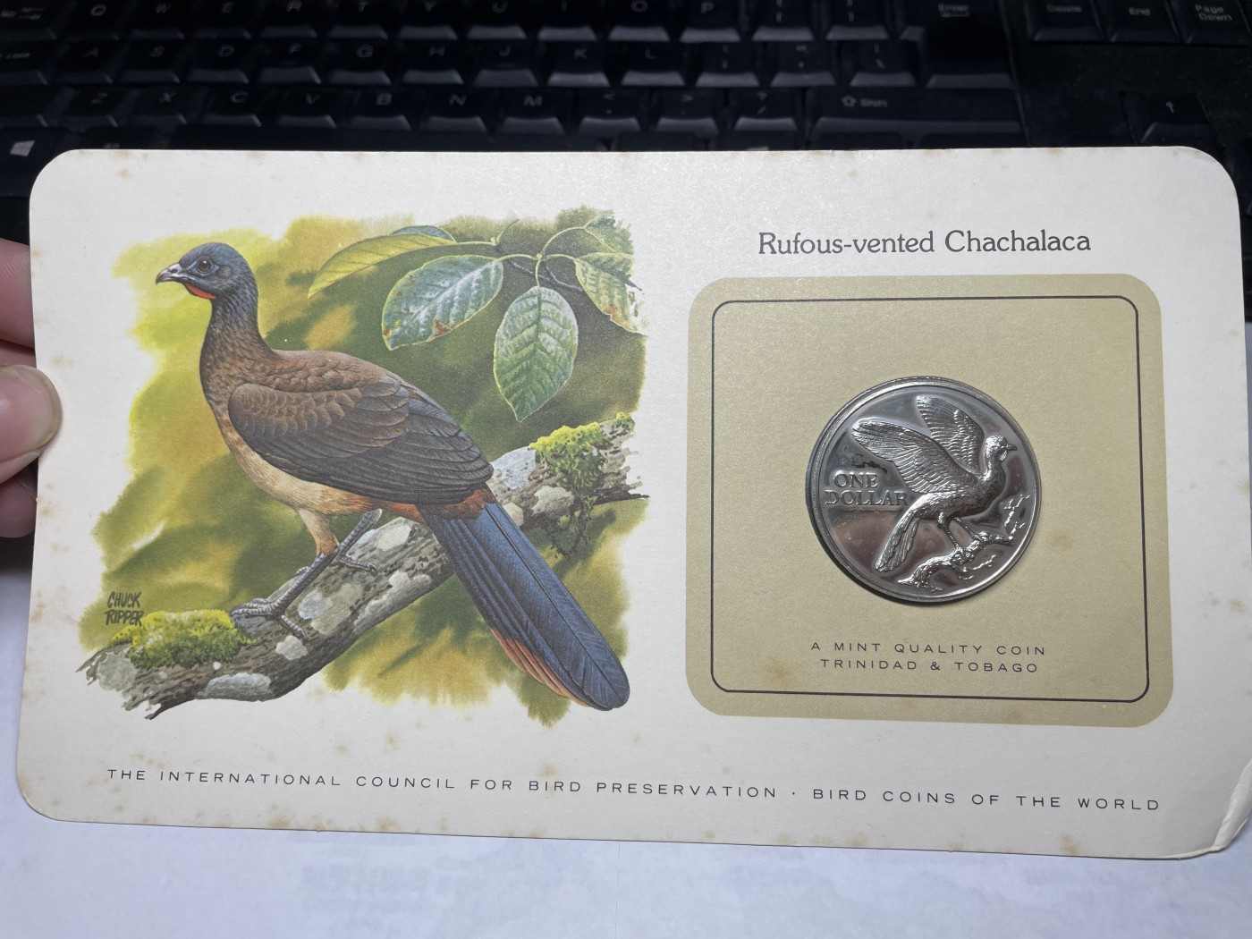 2024年集古藏今外币拍卖第三期-第1场—硬币上的鸟类专场（总第21拍） 1980年特立尼达和多巴哥1元—红尾冠雉