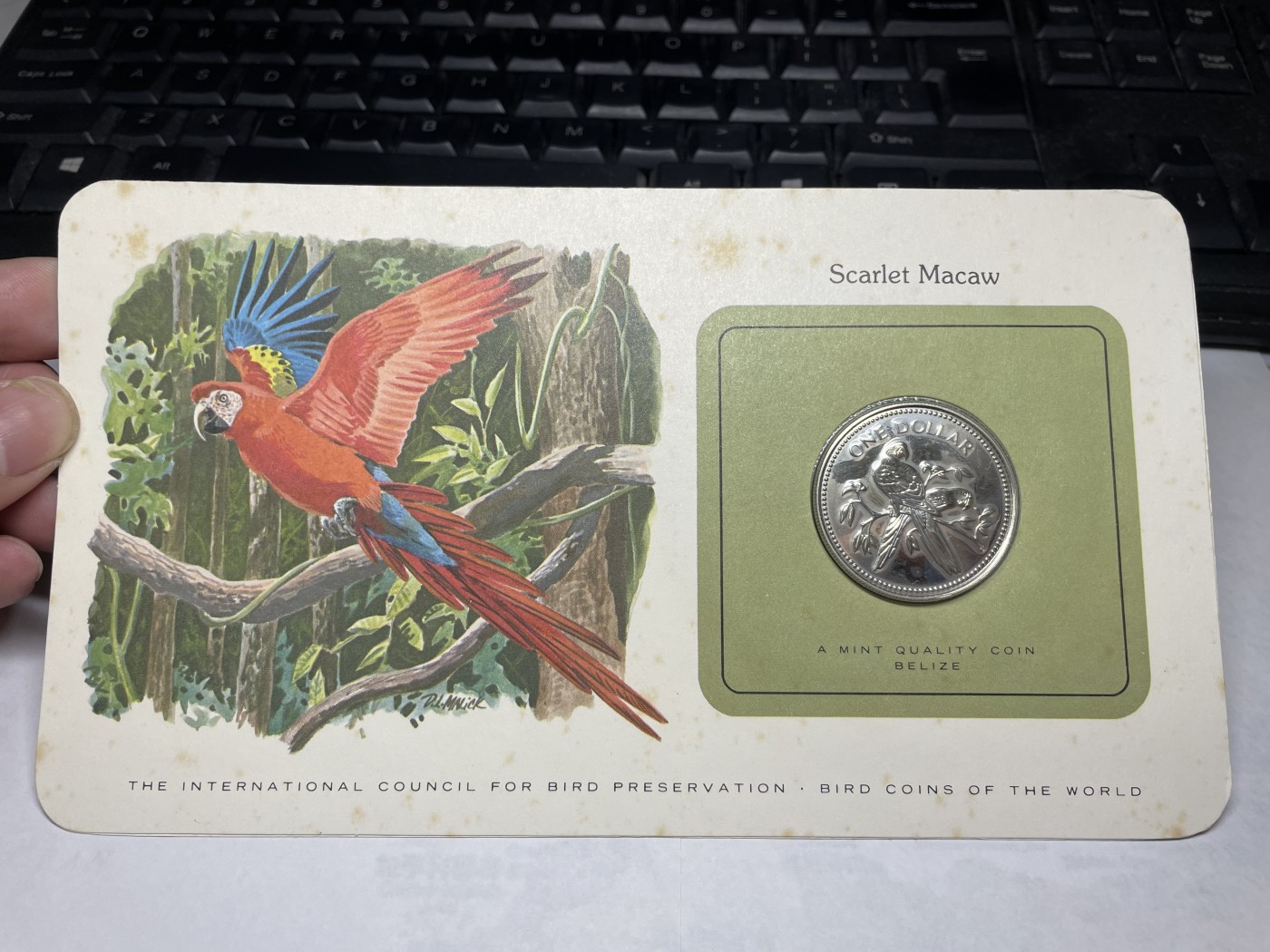 2024年集古藏今外币拍卖第三期-第1场—硬币上的鸟类专场（总第21拍） 1980年伯利兹1元—金刚鹦鹉