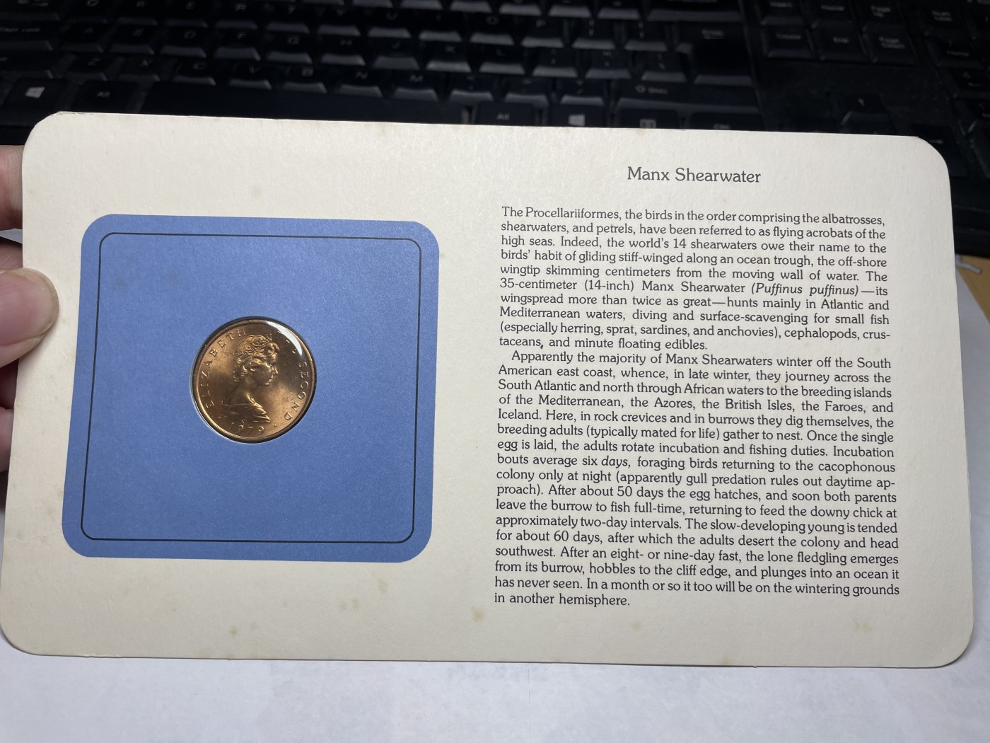 2024年集古藏今外币拍卖第三期-第1场—硬币上的鸟类专场（总第21拍） 1979年英属马恩岛2便士—大西洋鹱