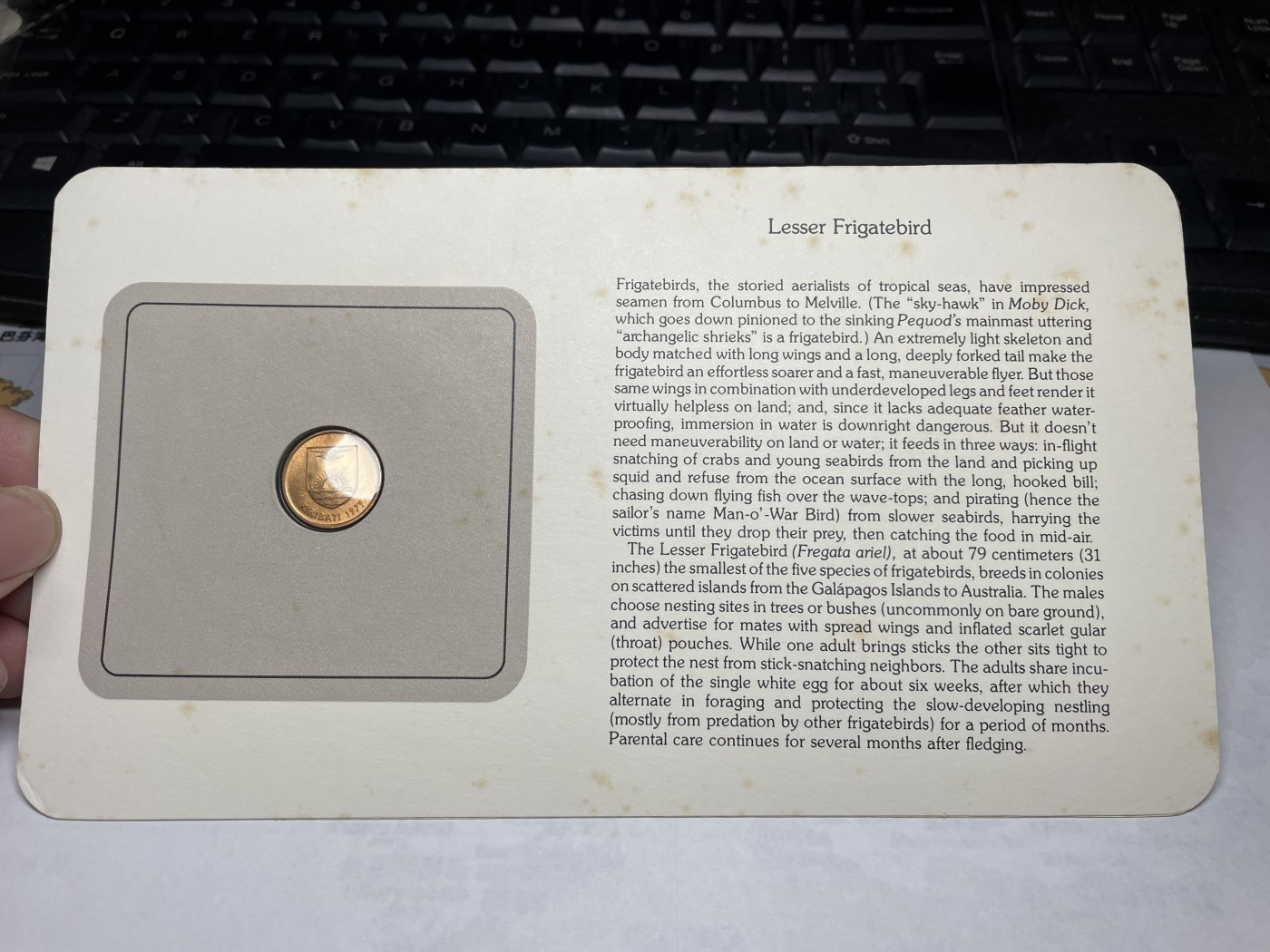 2024年集古藏今外币拍卖第三期-第1场—硬币上的鸟类专场（总第21拍） 1979年基里巴斯1分—军舰鸟