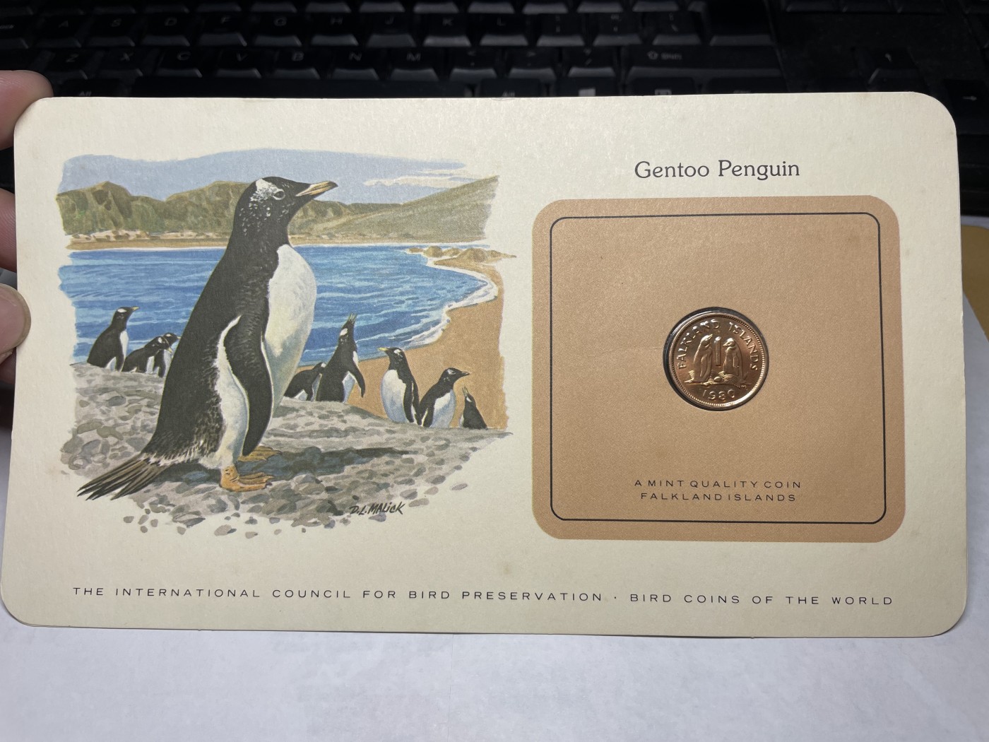 2024年集古藏今外币拍卖第三期-第1场—硬币上的鸟类专场（总第21拍） 1980年福克兰群岛1便士—企鹅