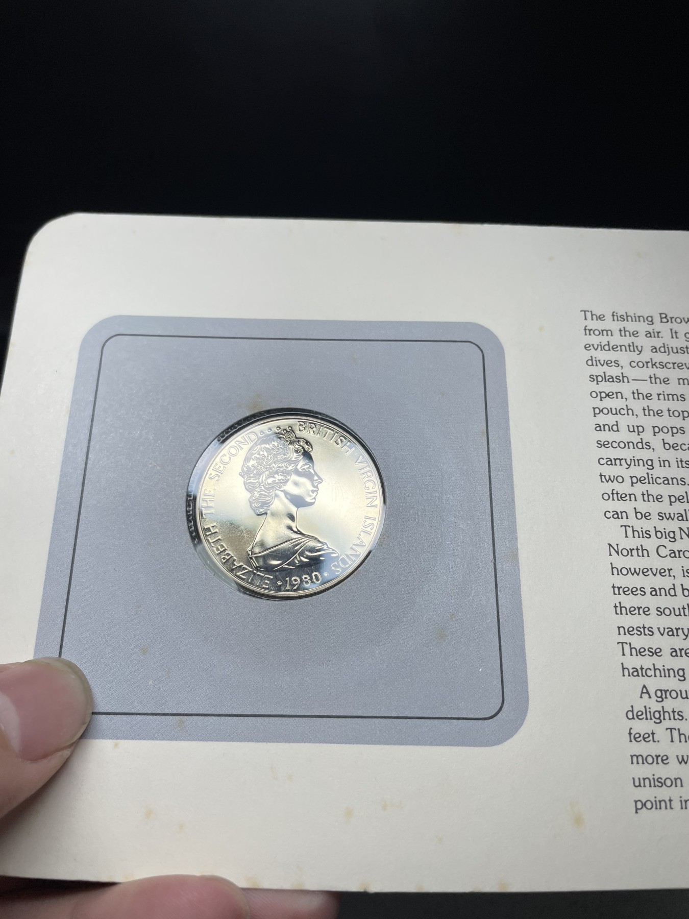 2024年集古藏今外币拍卖第三期-第1场—硬币上的鸟类专场（总第21拍） 1980年英属维尔京50分—褐鹈鹕