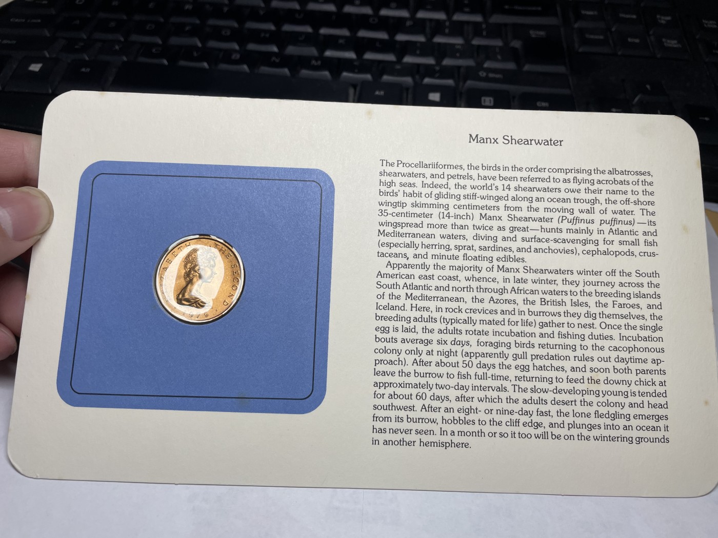 2024年集古藏今外币拍卖第三期-第1场—硬币上的鸟类专场（总第21拍） 1979年英属马恩岛2便士—大西洋鹱