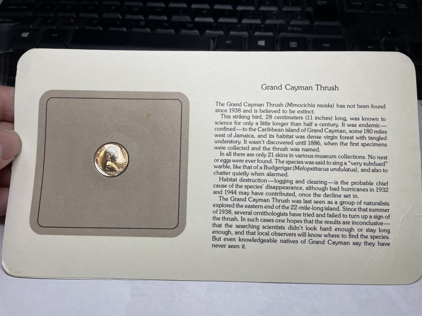 2024年集古藏今外币拍卖第三期-第1场—硬币上的鸟类专场（总第21拍） 1980年开曼群岛1分—大鸫鸟