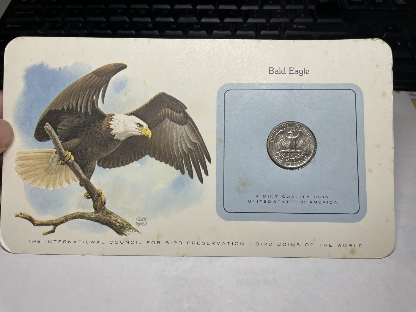 2024年集古藏今外币拍卖第三期-第1场—硬币上的鸟类专场（总第21拍） 1980年美国25美分—白头海雕