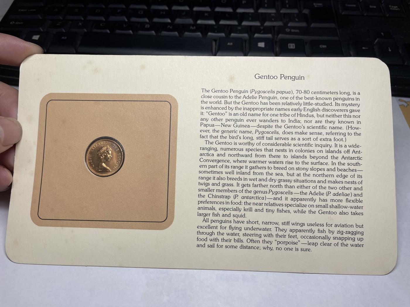 2024年集古藏今外币拍卖第三期-第1场—硬币上的鸟类专场（总第21拍） 1980年福克兰群岛1便士—企鹅