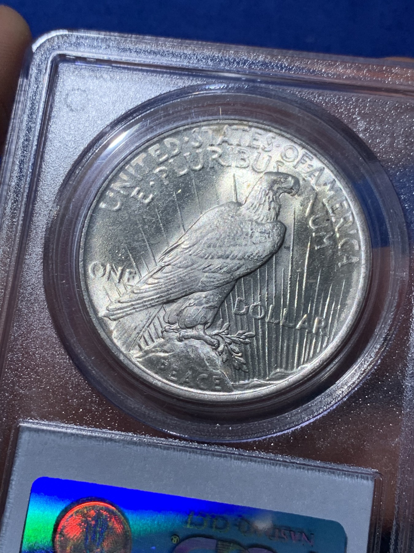 《竞宝斋》第252场-周日，周一2场连拍 (全场包邮) PCGS MS63 美国1922和平银币 PCGS老白盒 低评了 光泽很好 几乎没有大磕碰