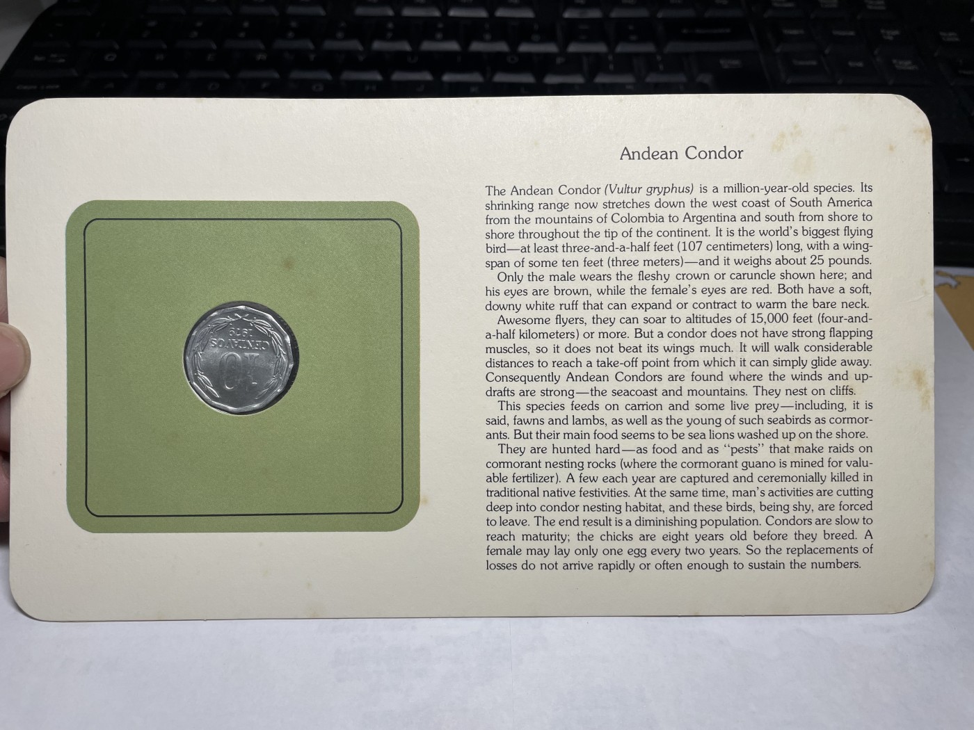 2024年集古藏今外币拍卖第三期-第1场—硬币上的鸟类专场（总第21拍） 1979年智利10分—兀鹰