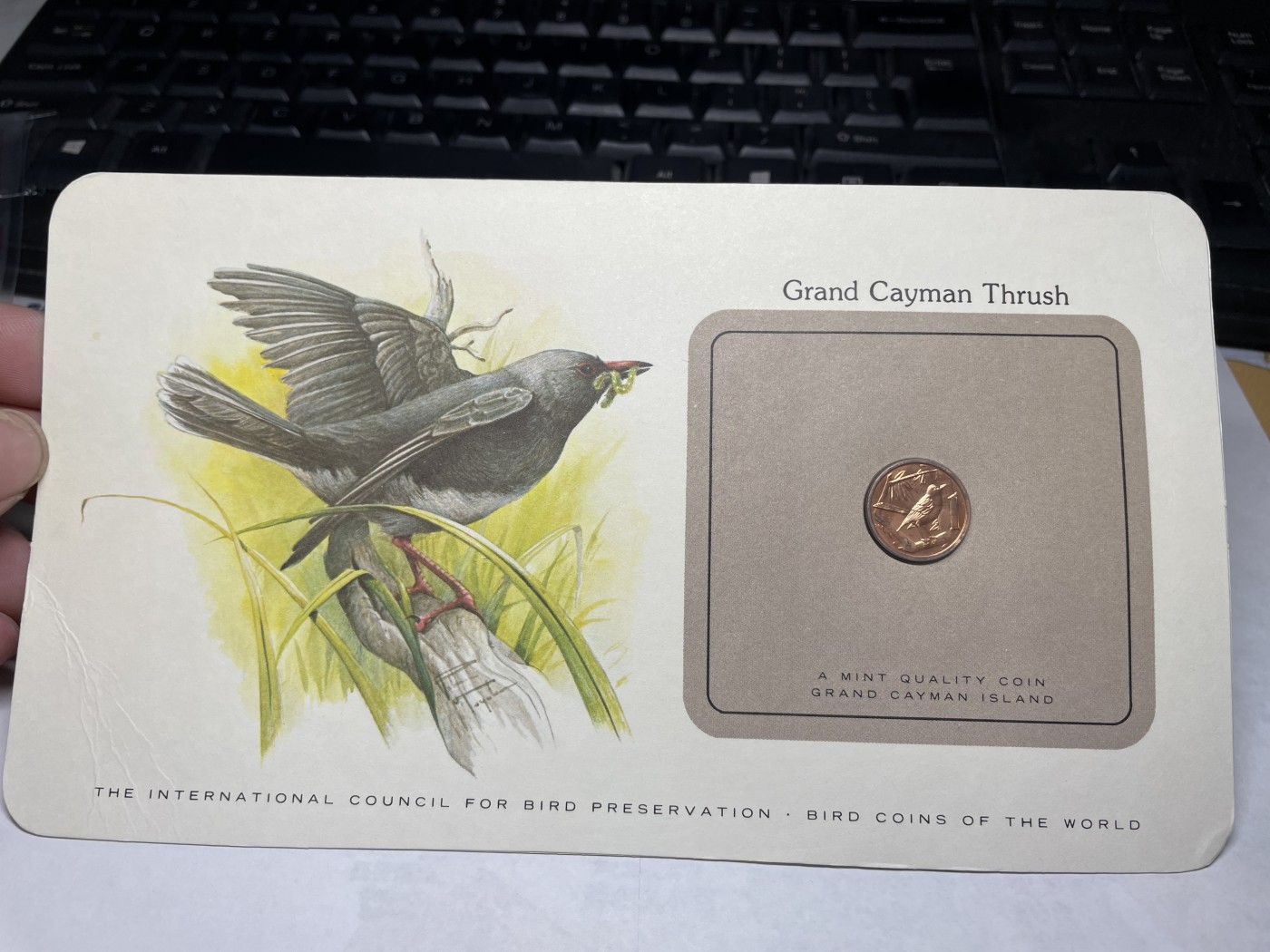 2024年集古藏今外币拍卖第三期-第1场—硬币上的鸟类专场（总第21拍） 1980年开曼群岛1分—大鸫鸟