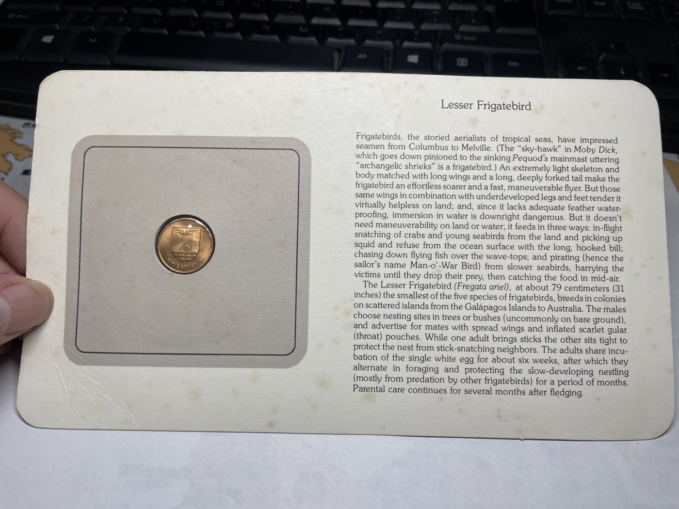 2024年集古藏今外币拍卖第三期-第1场—硬币上的鸟类专场（总第21拍） 1979年基里巴斯1分—军舰鸟