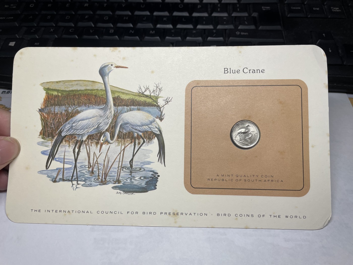 2024年集古藏今外币拍卖第三期-第1场—硬币上的鸟类专场（总第21拍） 1980年南非5分—蓝鹤