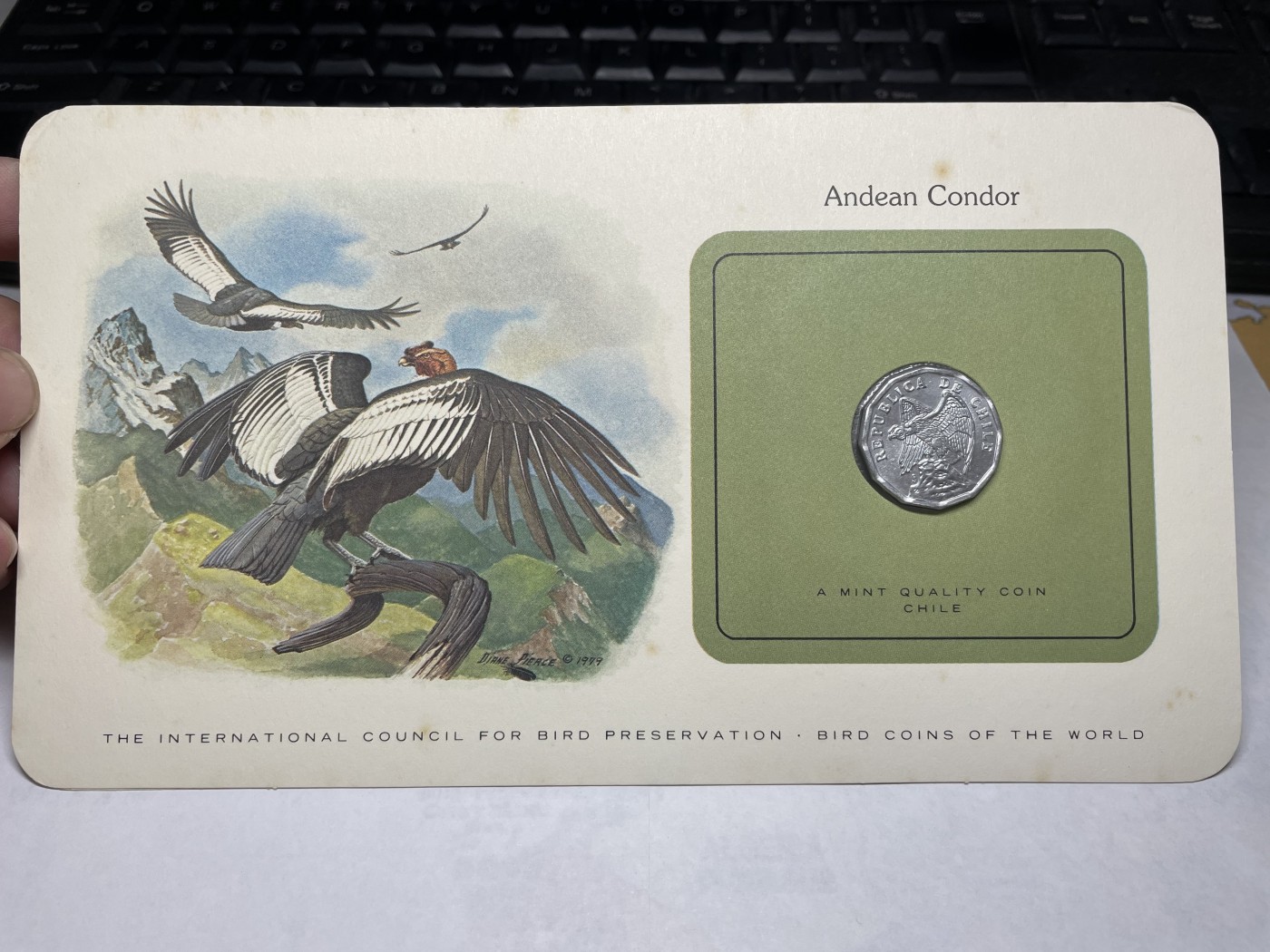 2024年集古藏今外币拍卖第三期-第1场—硬币上的鸟类专场（总第21拍） 1979年智利10分—兀鹰