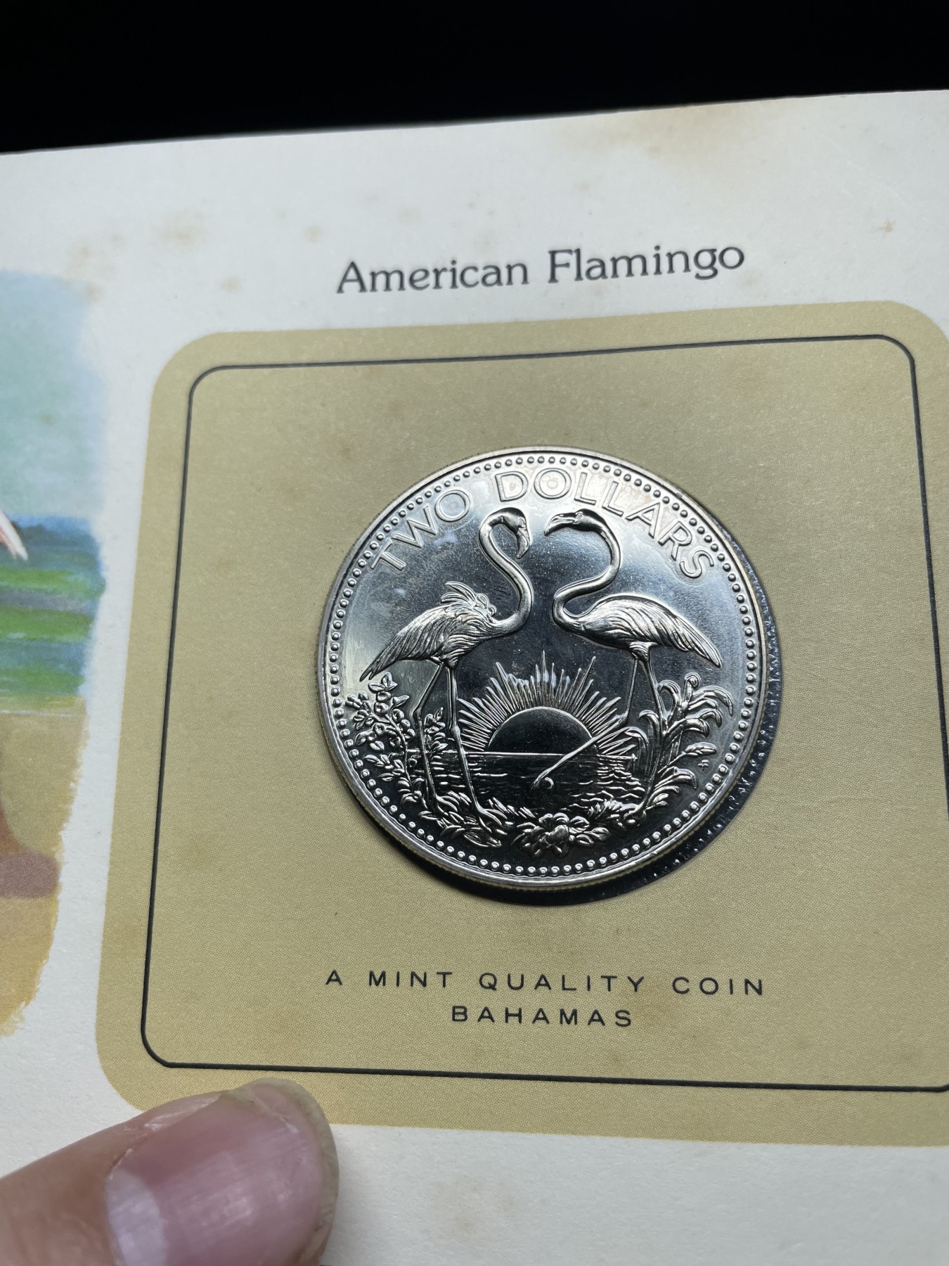 2024年集古藏今外币拍卖第三期-第1场—硬币上的鸟类专场（总第21拍） 1979年巴哈马2元—火烈鸟