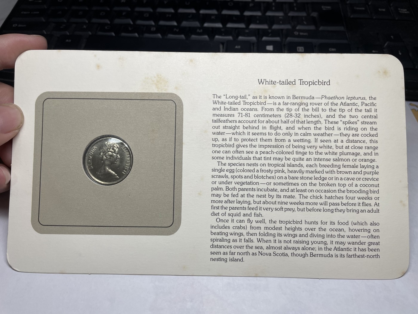 2024年集古藏今外币拍卖第三期-第1场—硬币上的鸟类专场（总第21拍） 1981年英属百慕大25分—黄嘴热带鸟