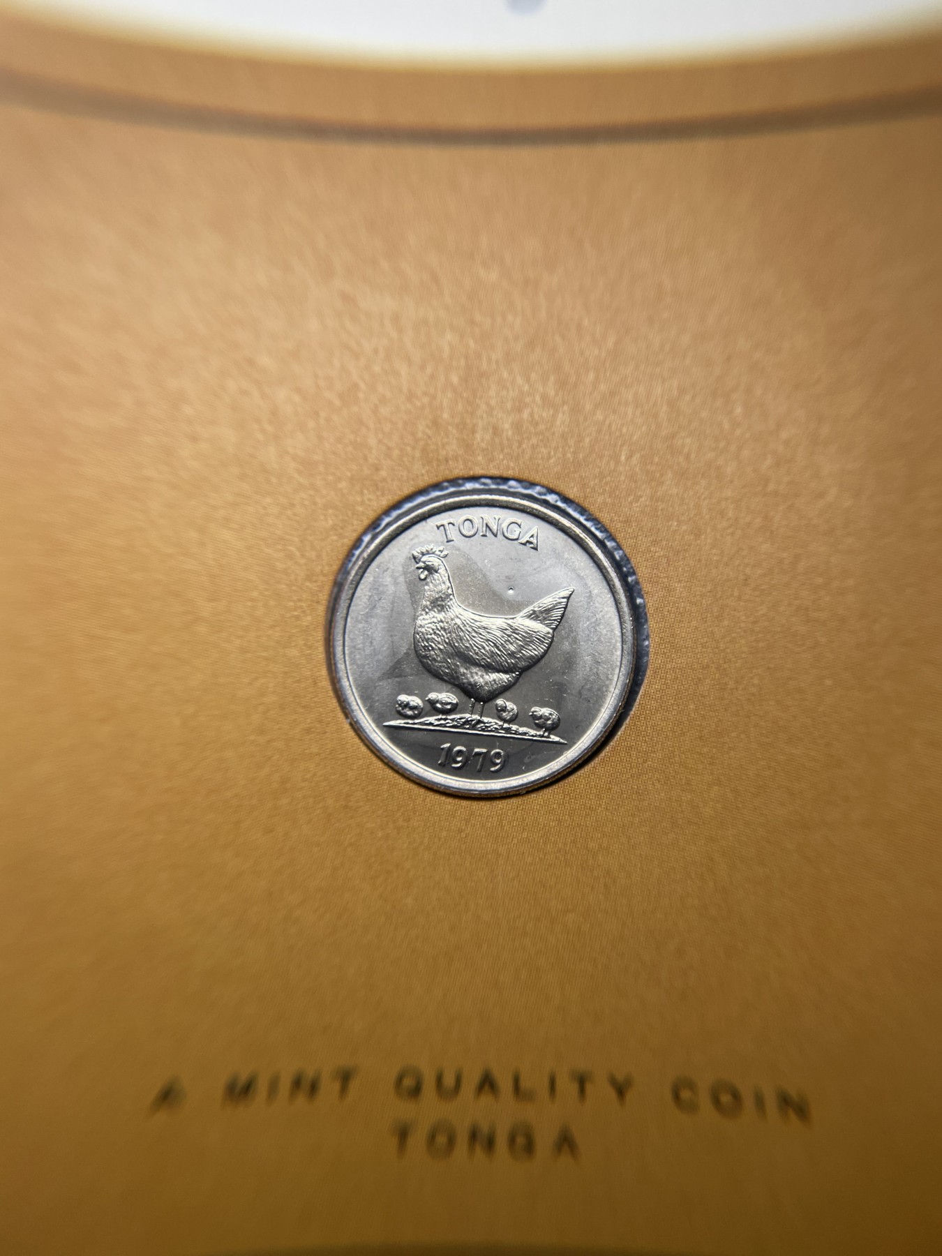 2024年集古藏今外币拍卖第三期-第1场—硬币上的鸟类专场（总第21拍） 1979年汤加5分—红原鸡