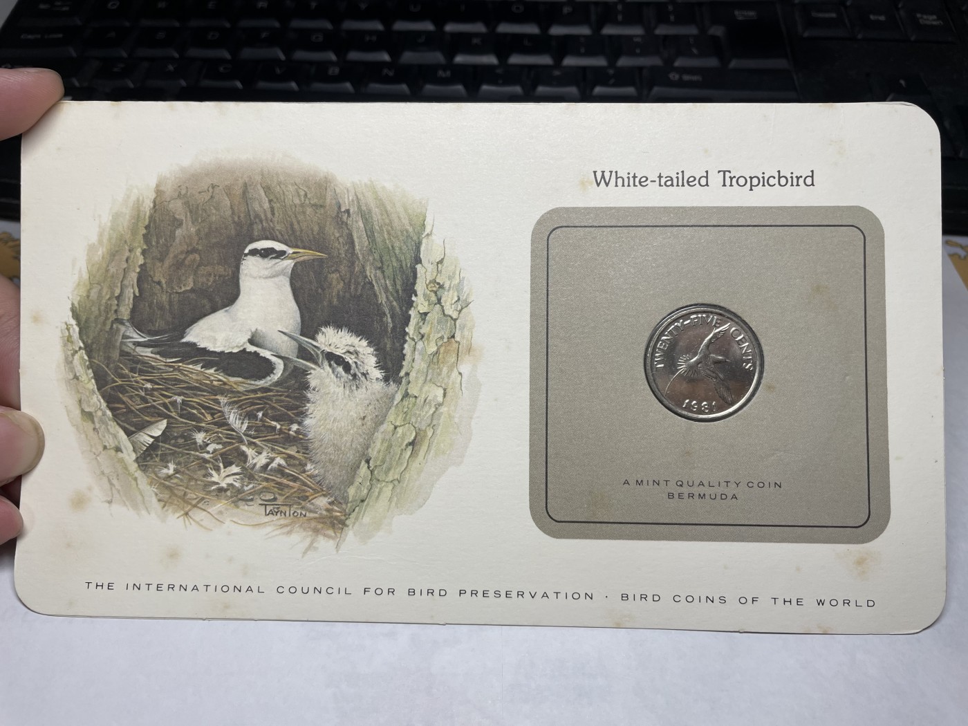 2024年集古藏今外币拍卖第三期-第1场—硬币上的鸟类专场（总第21拍） 1981年英属百慕大25分—黄嘴热带鸟