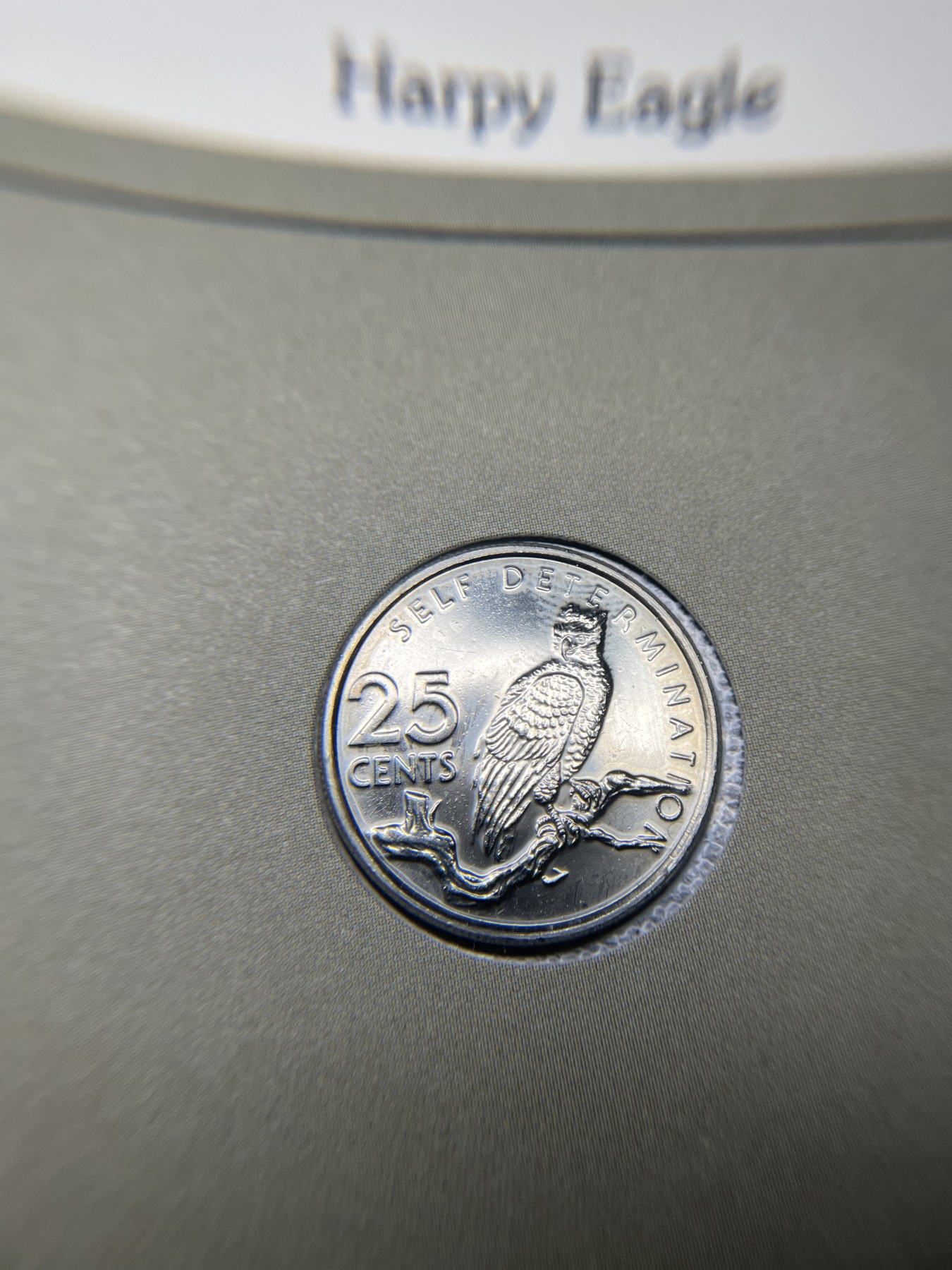 2024年集古藏今外币拍卖第三期-第1场—硬币上的鸟类专场（总第21拍） 1980年圭亚那25分—美洲角雕