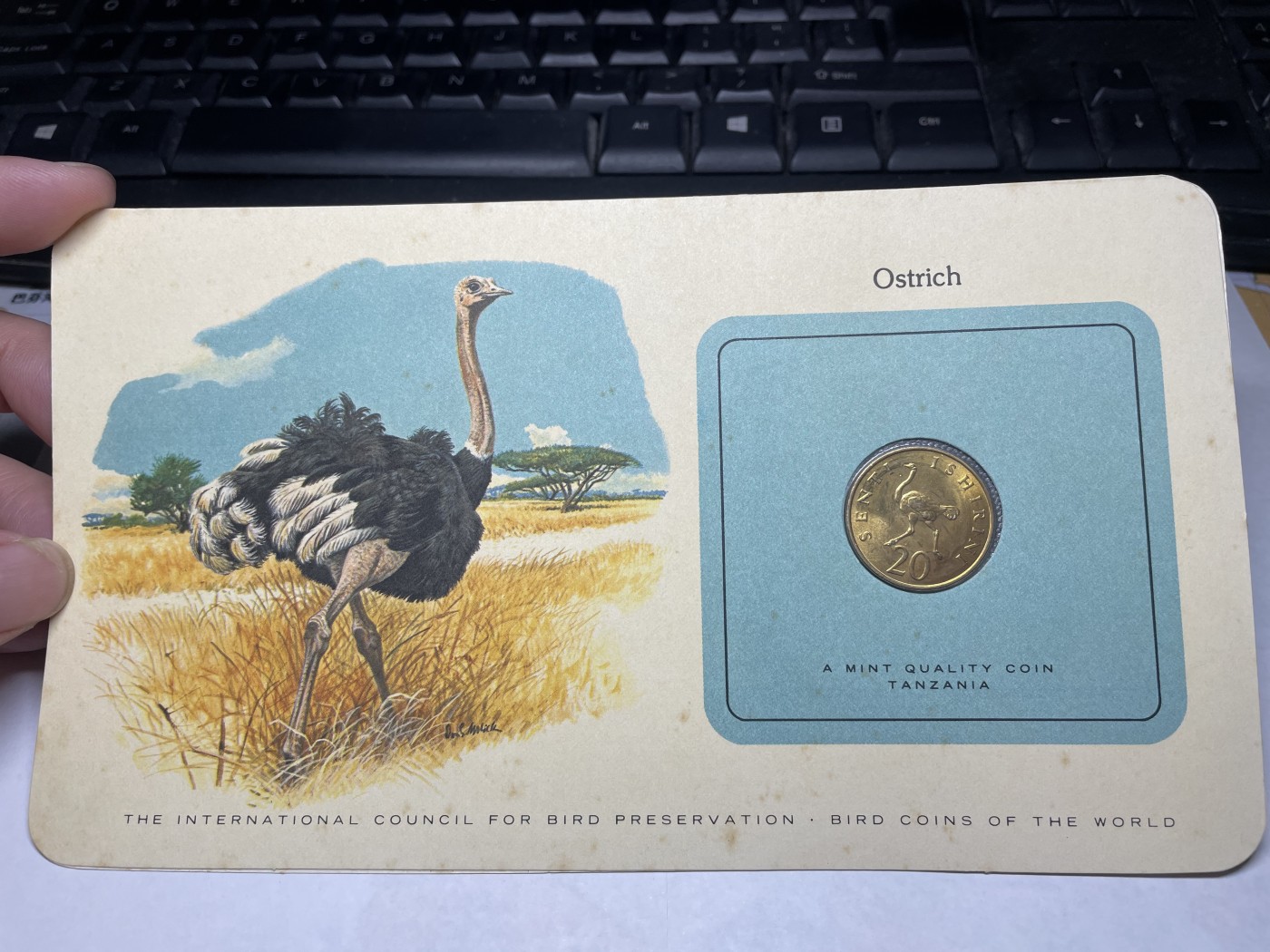 2024年集古藏今外币拍卖第三期-第1场—硬币上的鸟类专场（总第21拍） 1979年坦桑尼亚20分—鸵鸟