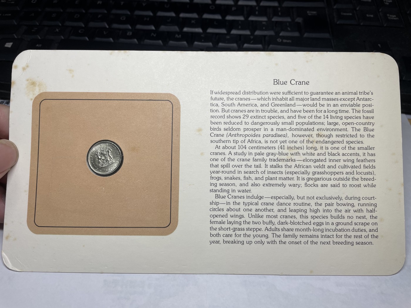 2024年集古藏今外币拍卖第三期-第1场—硬币上的鸟类专场（总第21拍） 1980年南非5分—蓝鹤