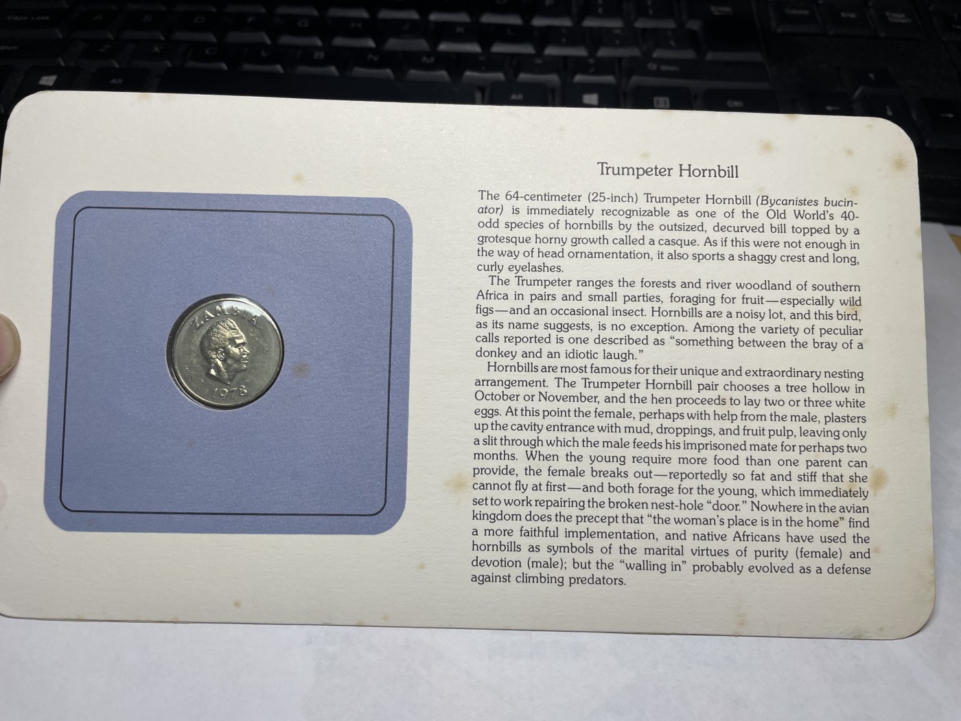 2024年集古藏今外币拍卖第三期-第1场—硬币上的鸟类专场（总第21拍） 1978年赞比亚1先令—冠犀鸟