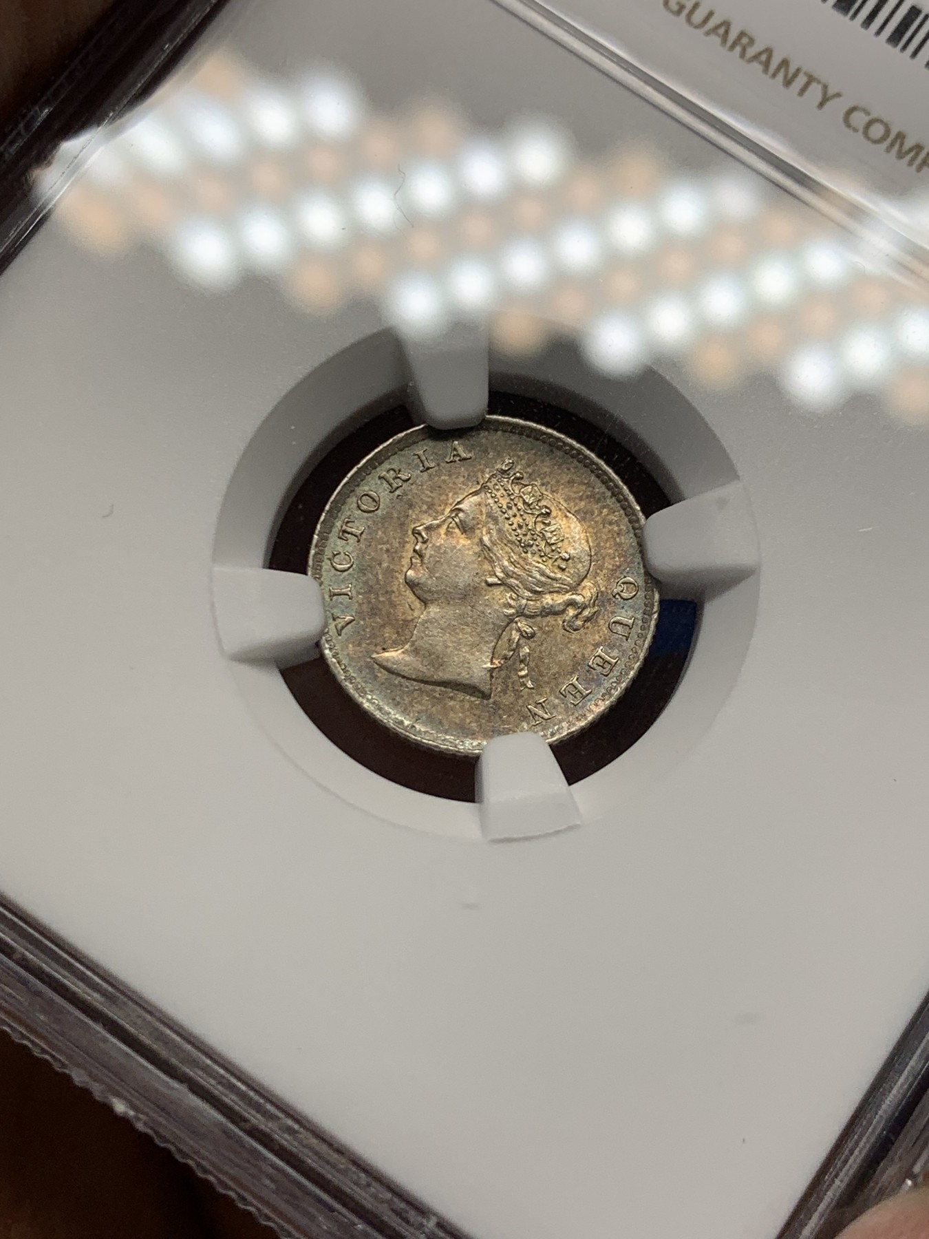 《竞宝斋》第252场-周日，周一2场连拍 (全场包邮) NGC MS63 英属圭亚那和西印度 1891年 4便士 维多利亚女王 银币