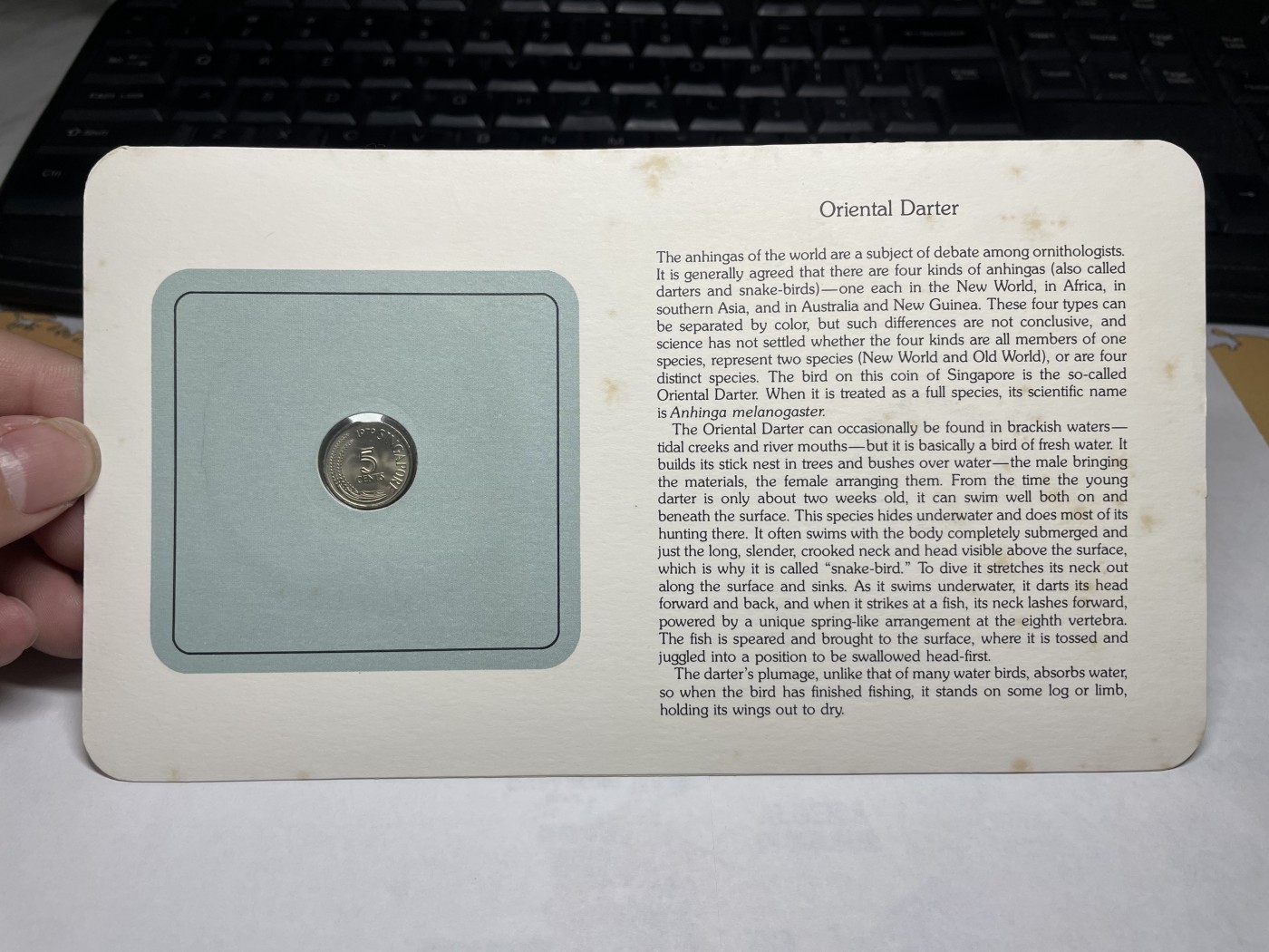 2024年集古藏今外币拍卖第三期-第1场—硬币上的鸟类专场（总第21拍） 1979年新加坡5分—大白鹭