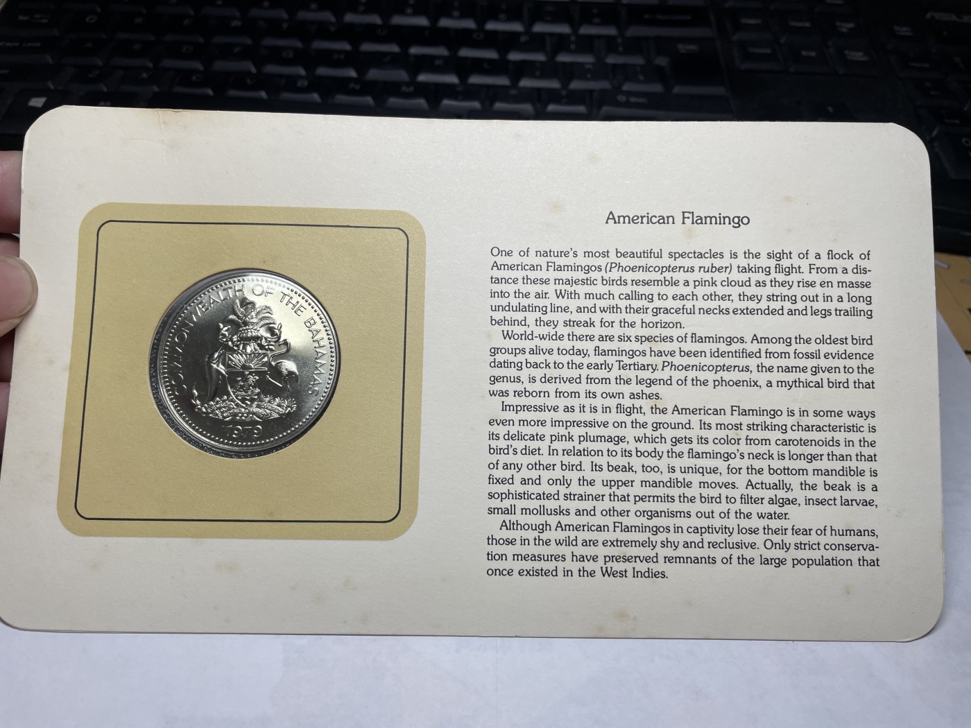 2024年集古藏今外币拍卖第三期-第1场—硬币上的鸟类专场（总第21拍） 1979年巴哈马2元—火烈鸟