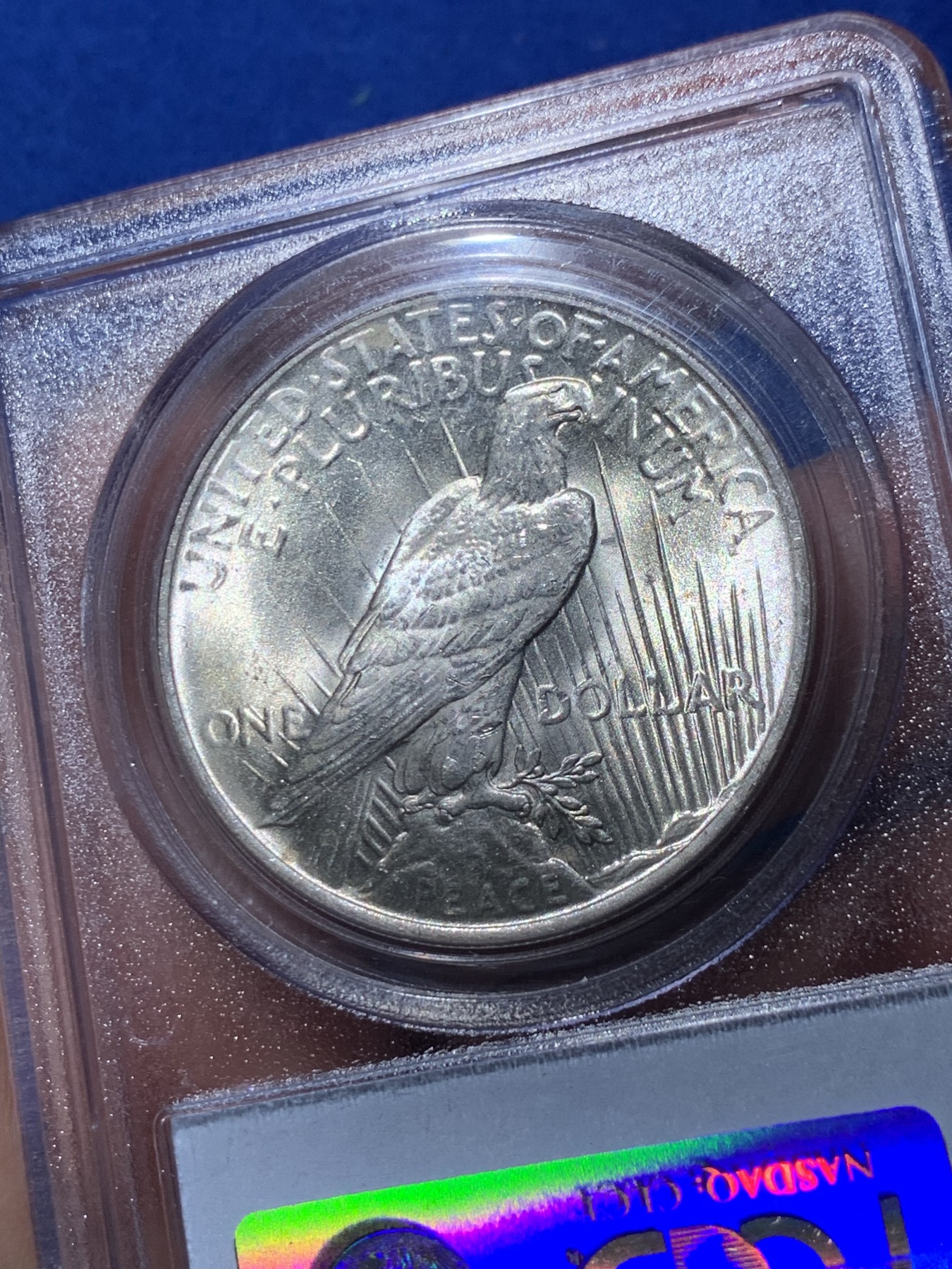 《竞宝斋》第252场-周日，周一2场连拍 (全场包邮) PCGS MS63 美国1922和平银币 PCGS老白盒 低评了 光泽很好 几乎没有大磕碰