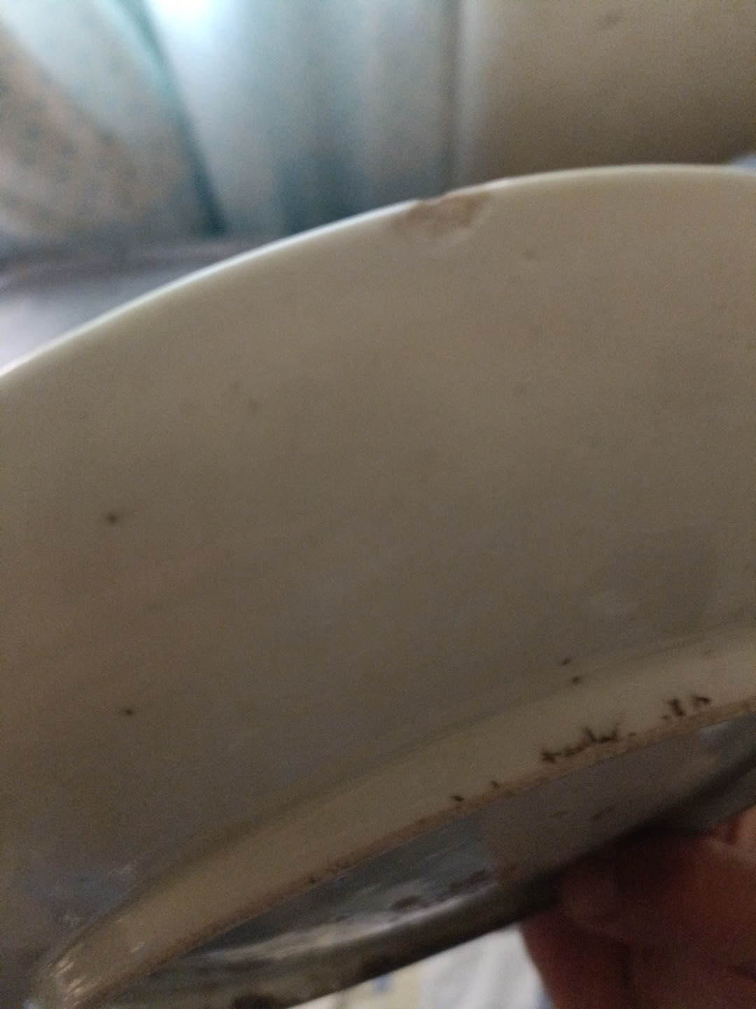 晚清花蝶绵绵盘子