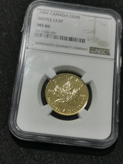 天下钱庄国内外钱币全场保真欢迎参拍 - NGC MS66极美1994加拿大枫叶金币，15.5g半盎司9999纯金