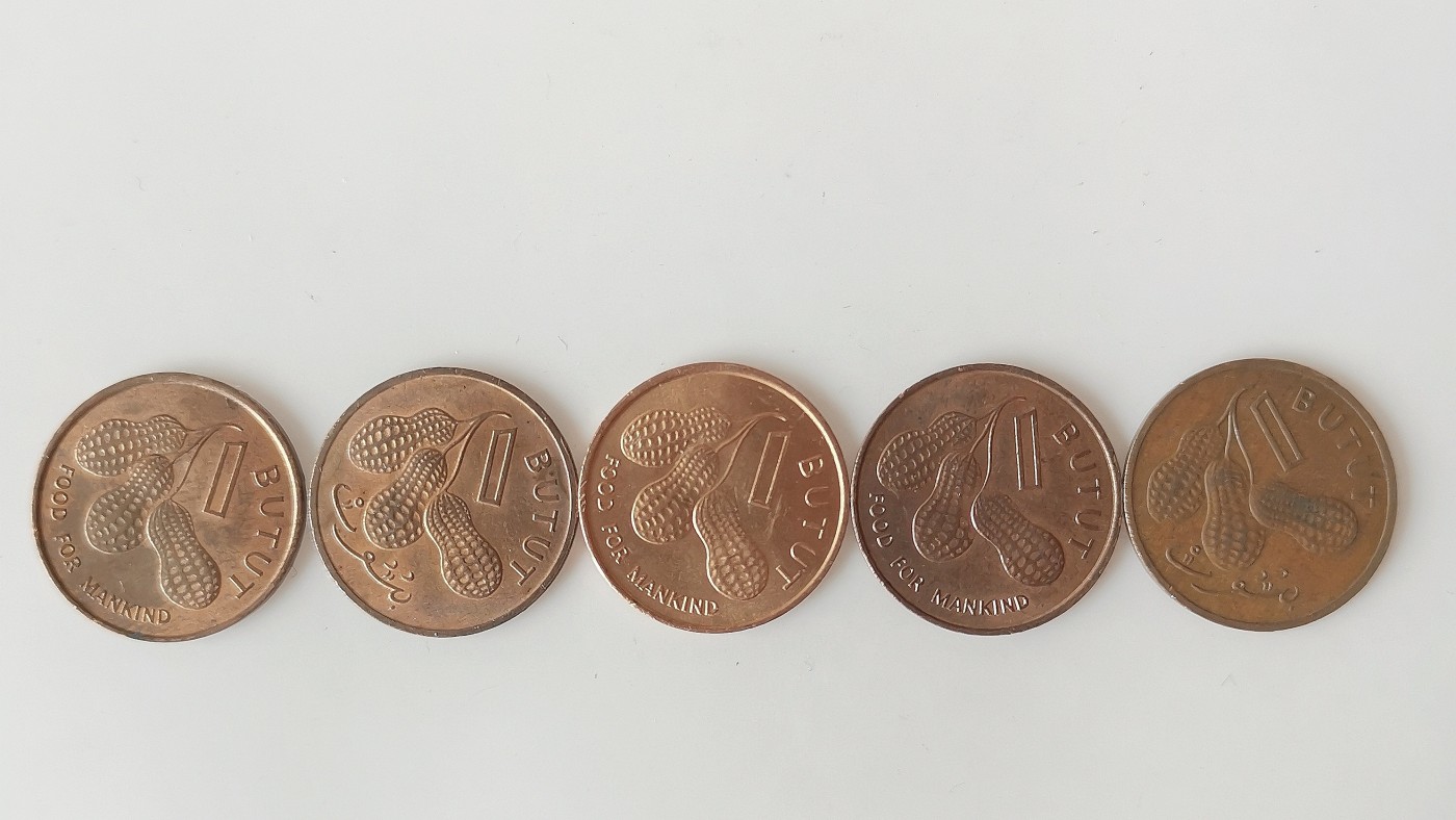 第一海外回流一元起拍收藏 散币专场 第74期 冈比亚1布图