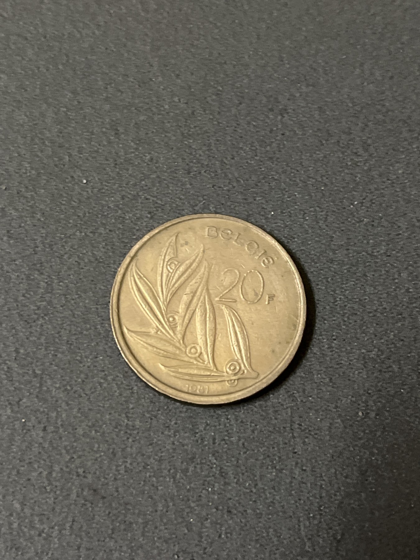 神仙姐姐散币好品专场第二十五期（无佣金满邮自动发出 1981年 比利时20法郎