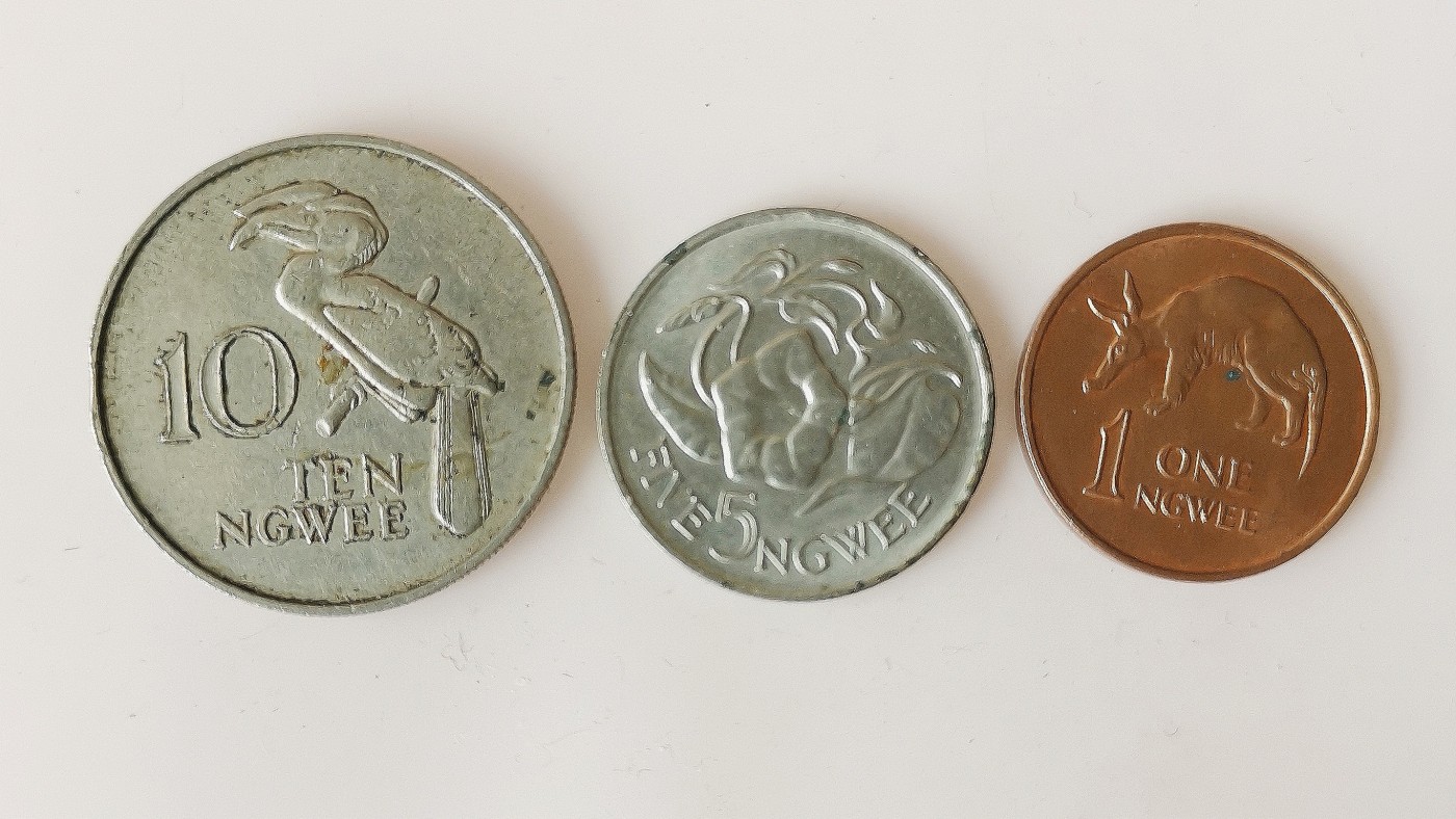 第一海外回流一元起拍收藏 散币专场 第74期 赞比亚🇿🇲