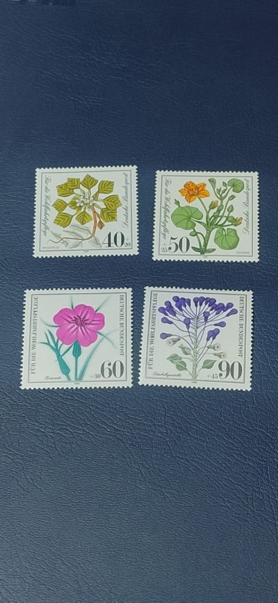 德国邮票专场，都是套票！ - 德国邮票一套，1981年发行，濒临灭绝的水生植物花卉，品相如图