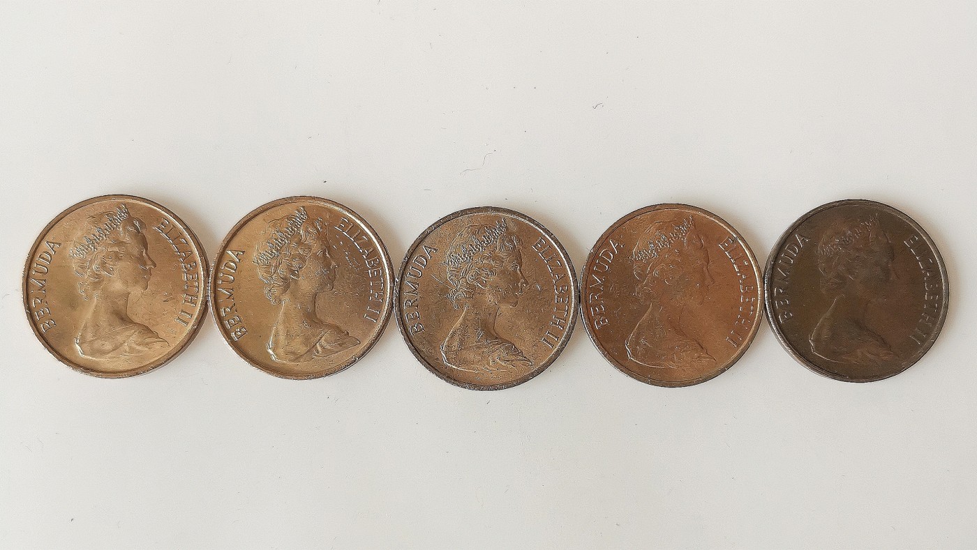 第一海外回流一元起拍收藏 散币专场 第74期 百慕大70年代1分 野猪 5枚