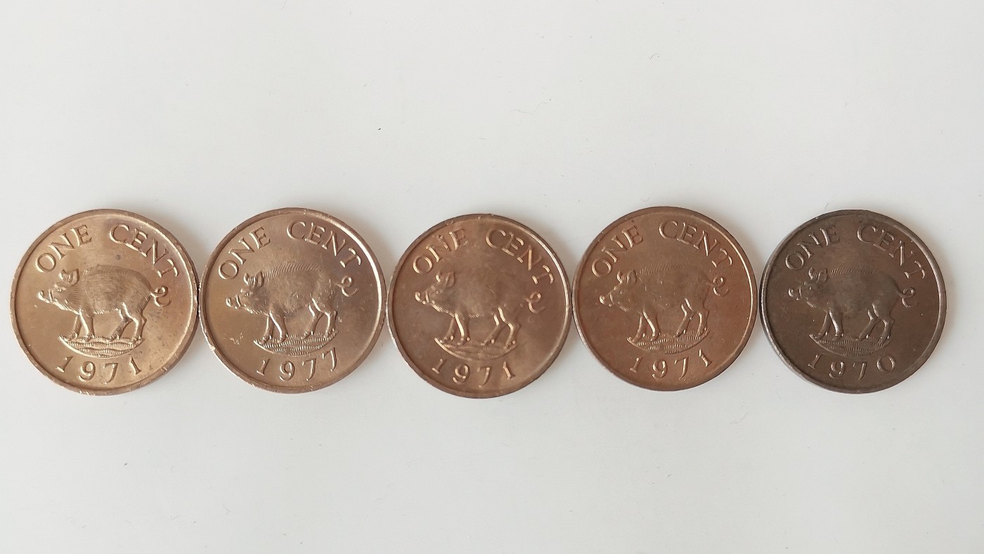 第一海外回流一元起拍收藏 散币专场 第74期 百慕大70年代1分 野猪 5枚