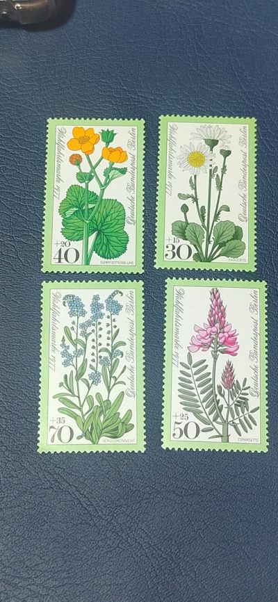 德国邮票专场，都是套票 - 德国邮票一套，1977年发行，野生花卉 植物，品相如图