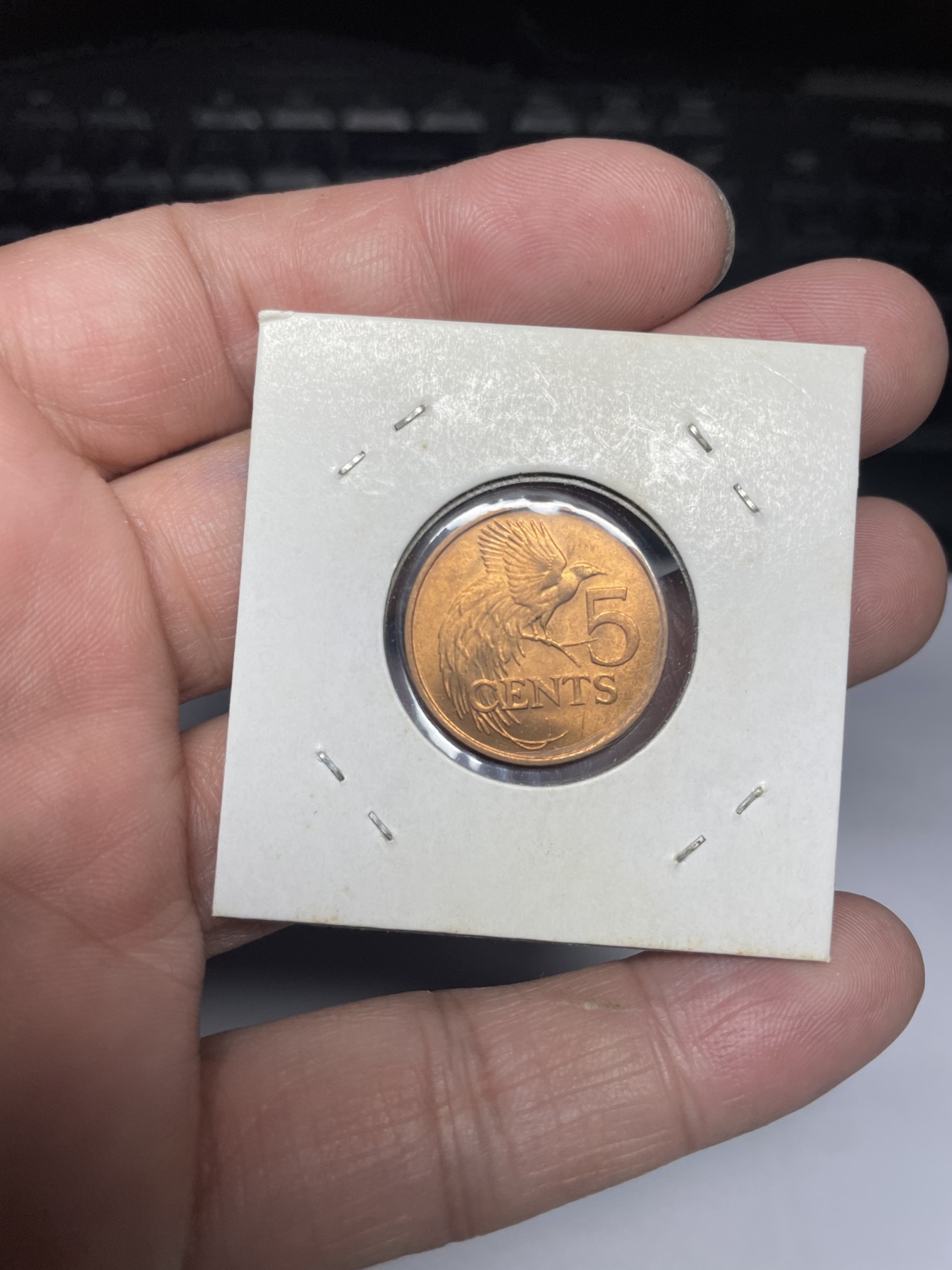 2024年集古藏今外币拍卖第三期-第3场—原光币、带光币专场（总第23拍） 1979年特立尼达和多巴哥5分