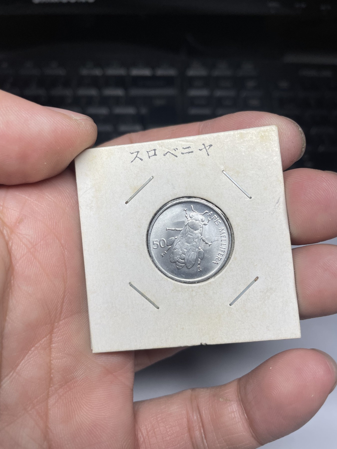 2024年集古藏今外币拍卖第三期-第3场—原光币、带光币专场（总第23拍） 1993年斯洛文尼亚50斯托蒂