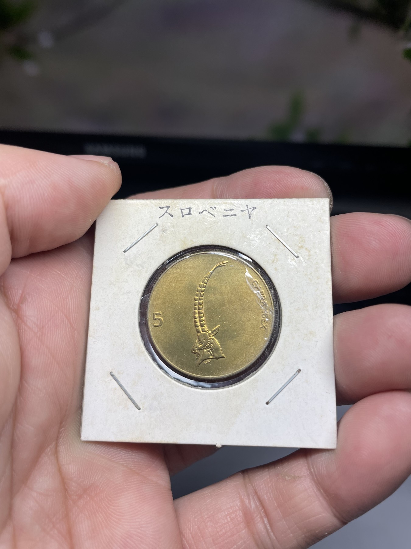 2024年集古藏今外币拍卖第三期-第3场—原光币、带光币专场（总第23拍） 1992年斯洛文尼亚5托拉