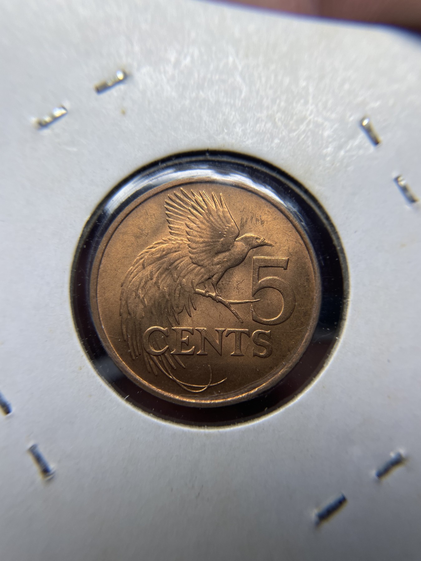 2024年集古藏今外币拍卖第三期-第3场—原光币、带光币专场（总第23拍） 1979年特立尼达和多巴哥5分