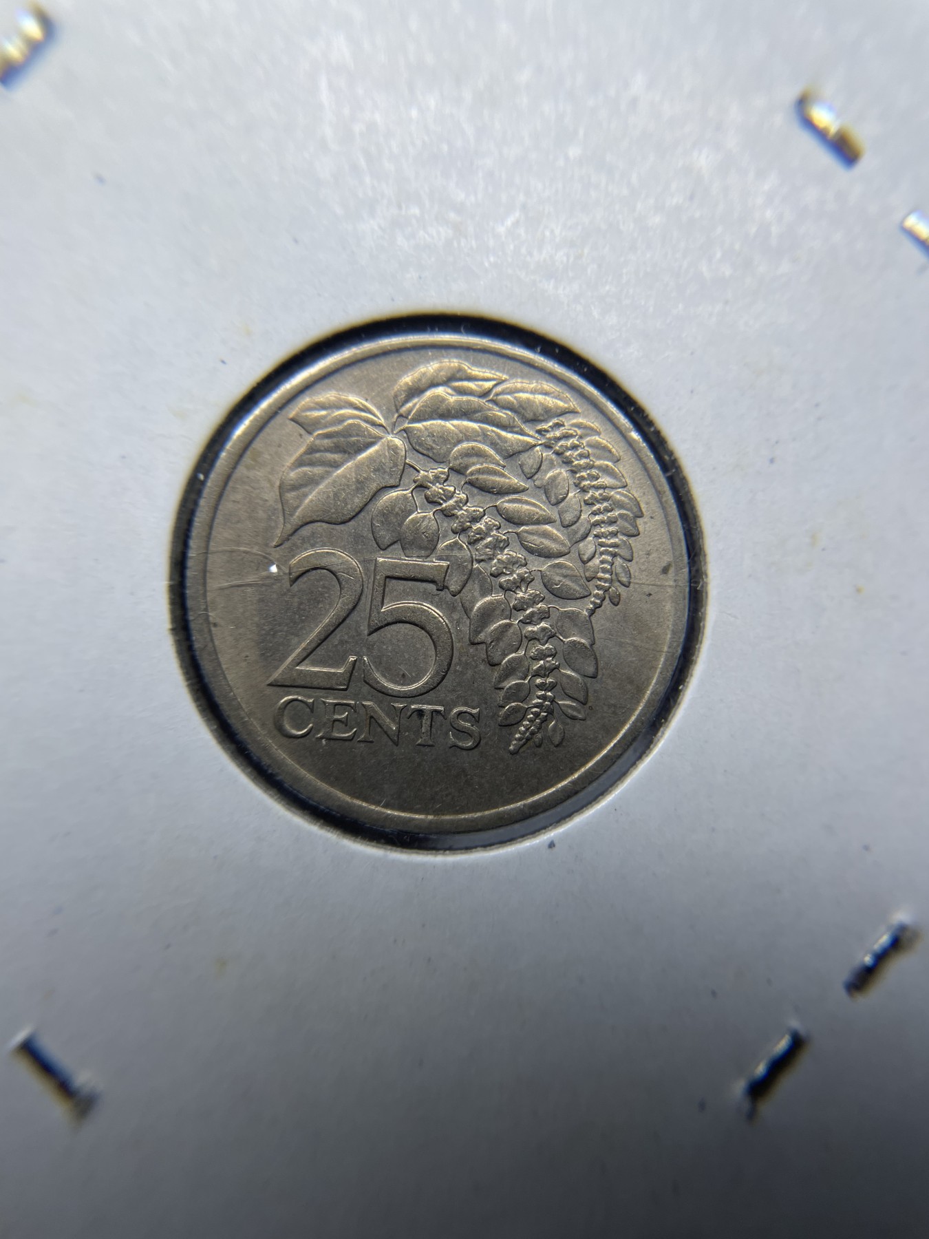 2024年集古藏今外币拍卖第三期-第3场—原光币、带光币专场（总第23拍） 1976年特立尼达和多巴哥25分