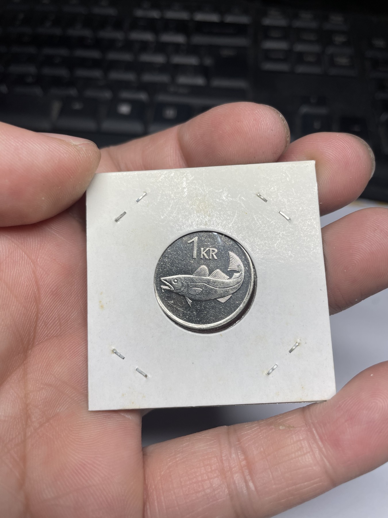 2024年集古藏今外币拍卖第三期-第3场—原光币、带光币专场（总第23拍） 1999年冰岛1克朗