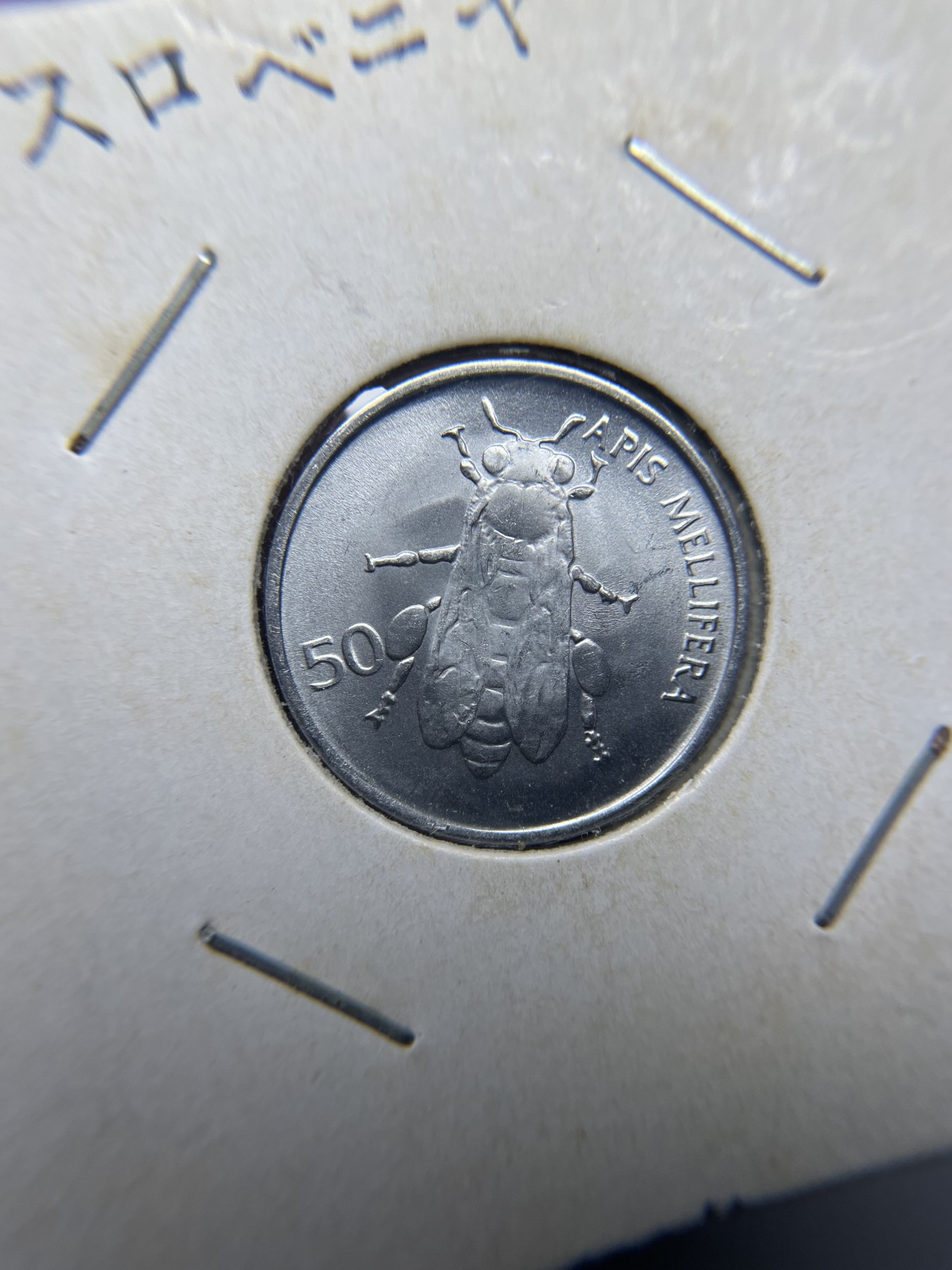 2024年集古藏今外币拍卖第三期-第3场—原光币、带光币专场（总第23拍） 1993年斯洛文尼亚50斯托蒂